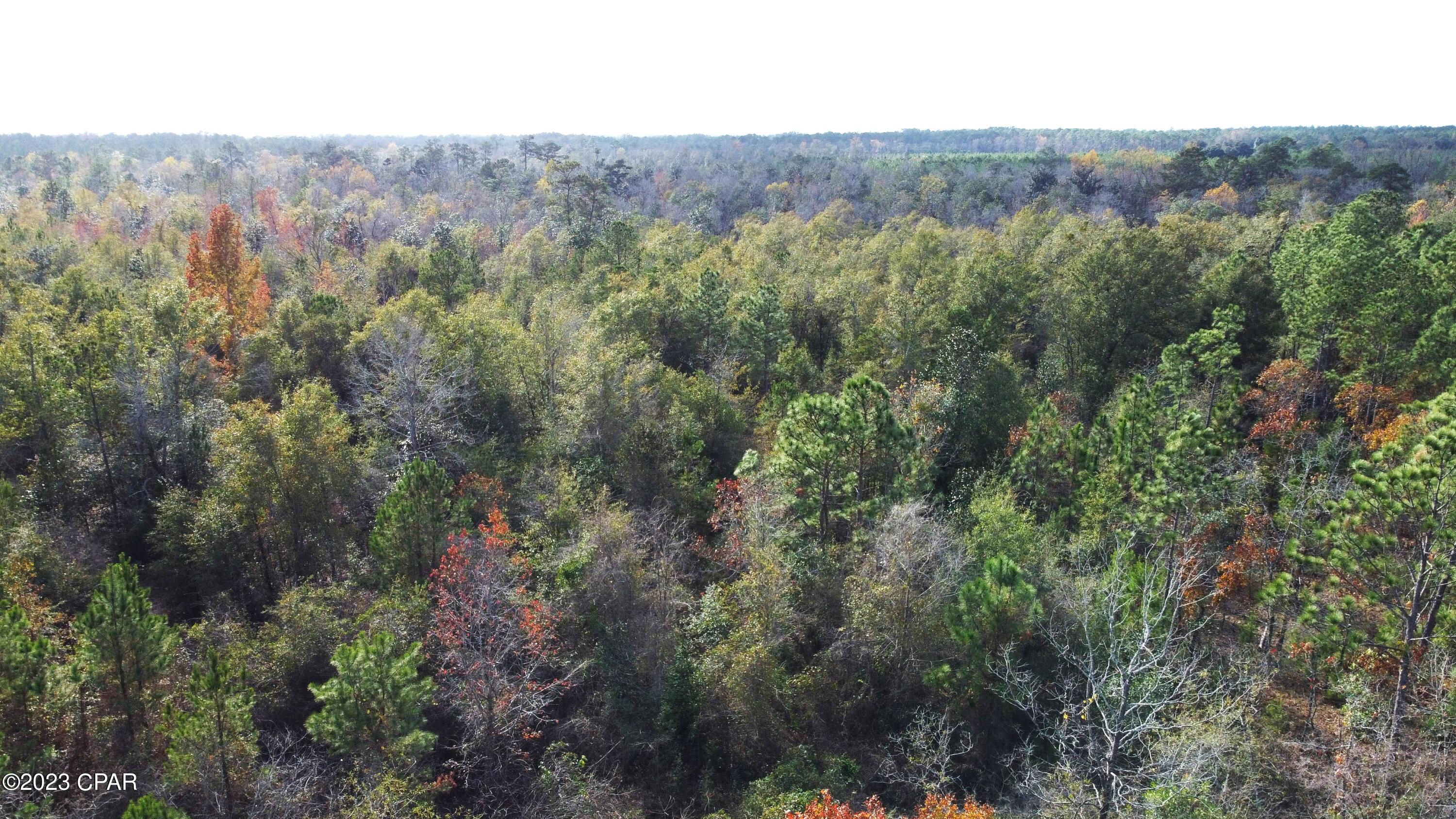 Other - Land