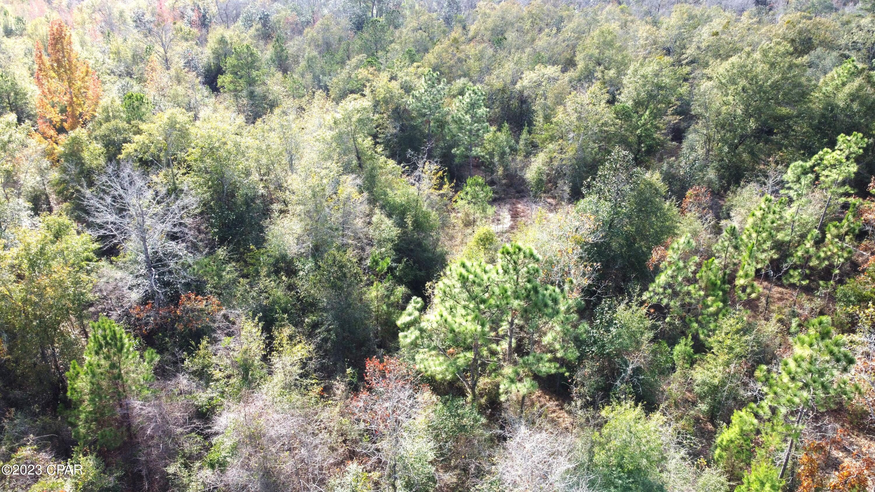 Other - Land