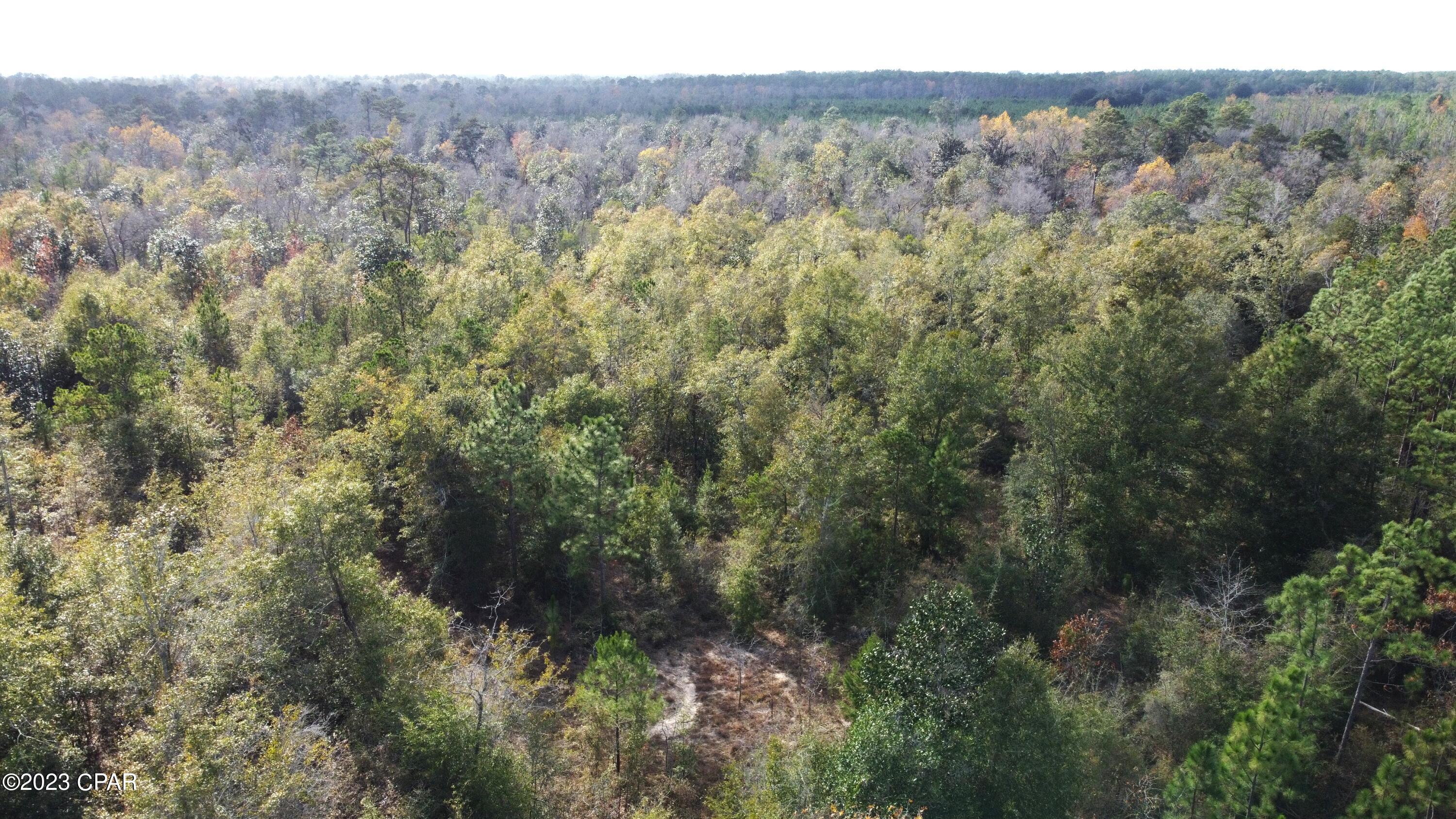 Other - Land
