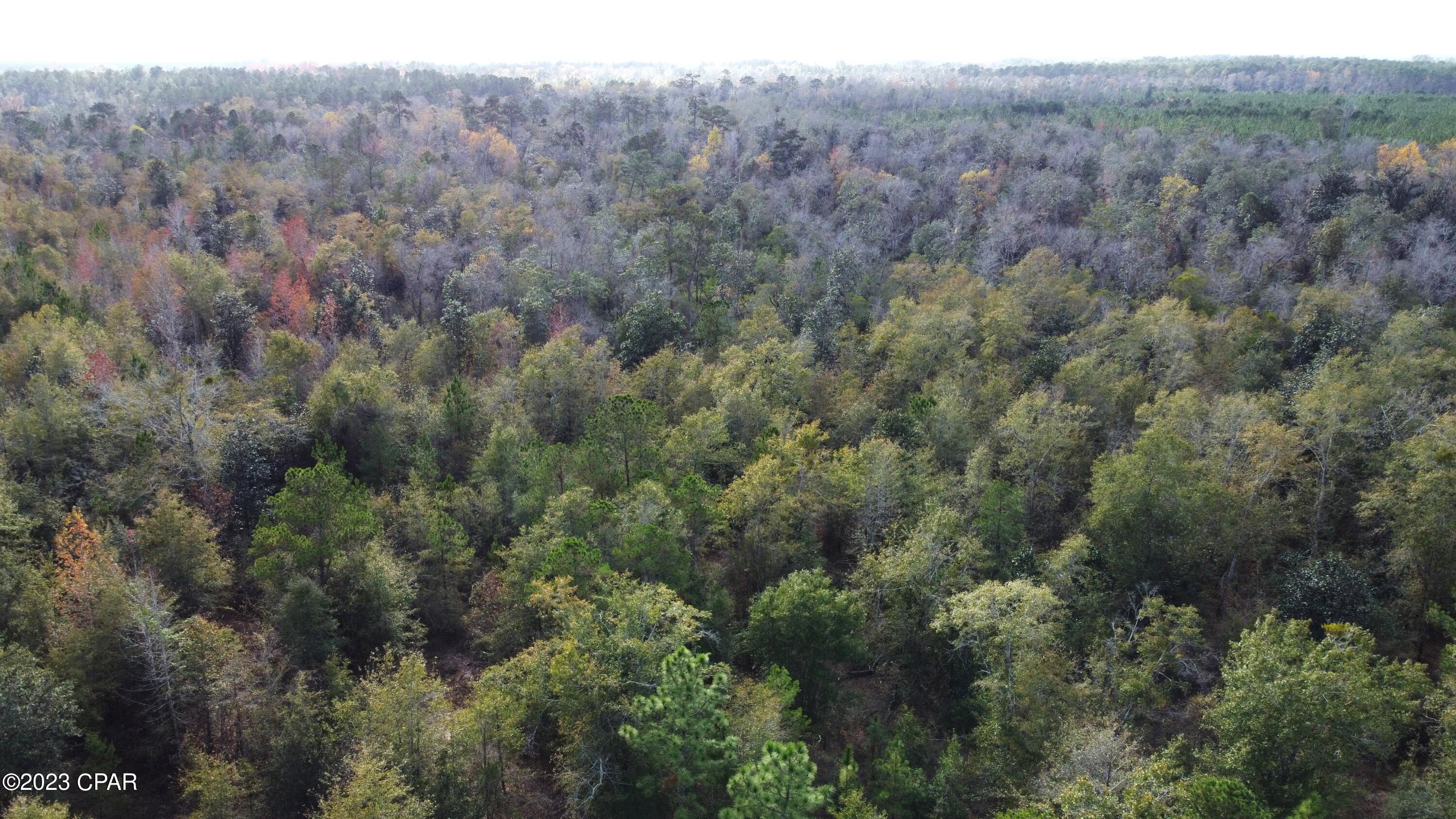 Other - Land