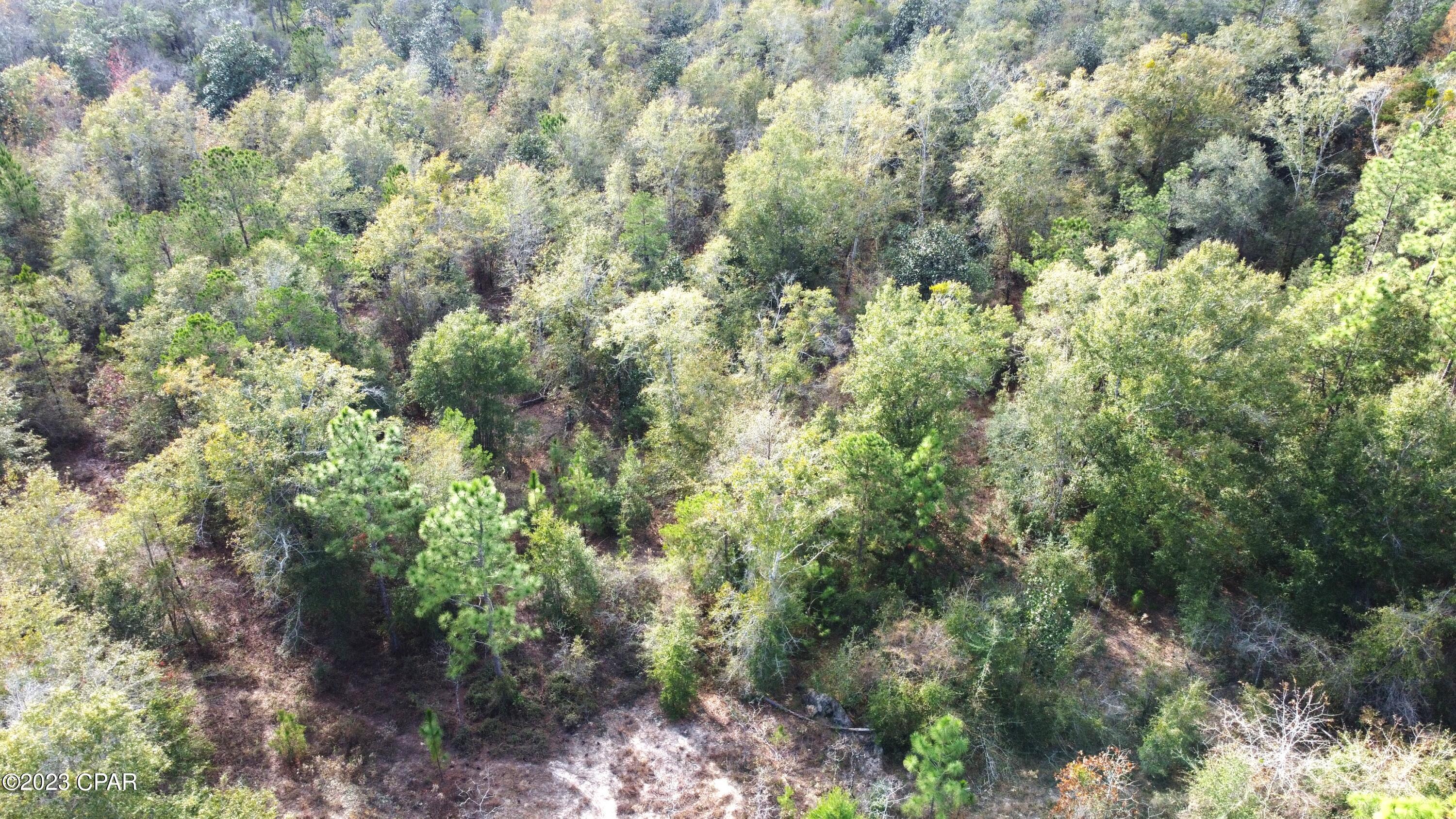 Other - Land