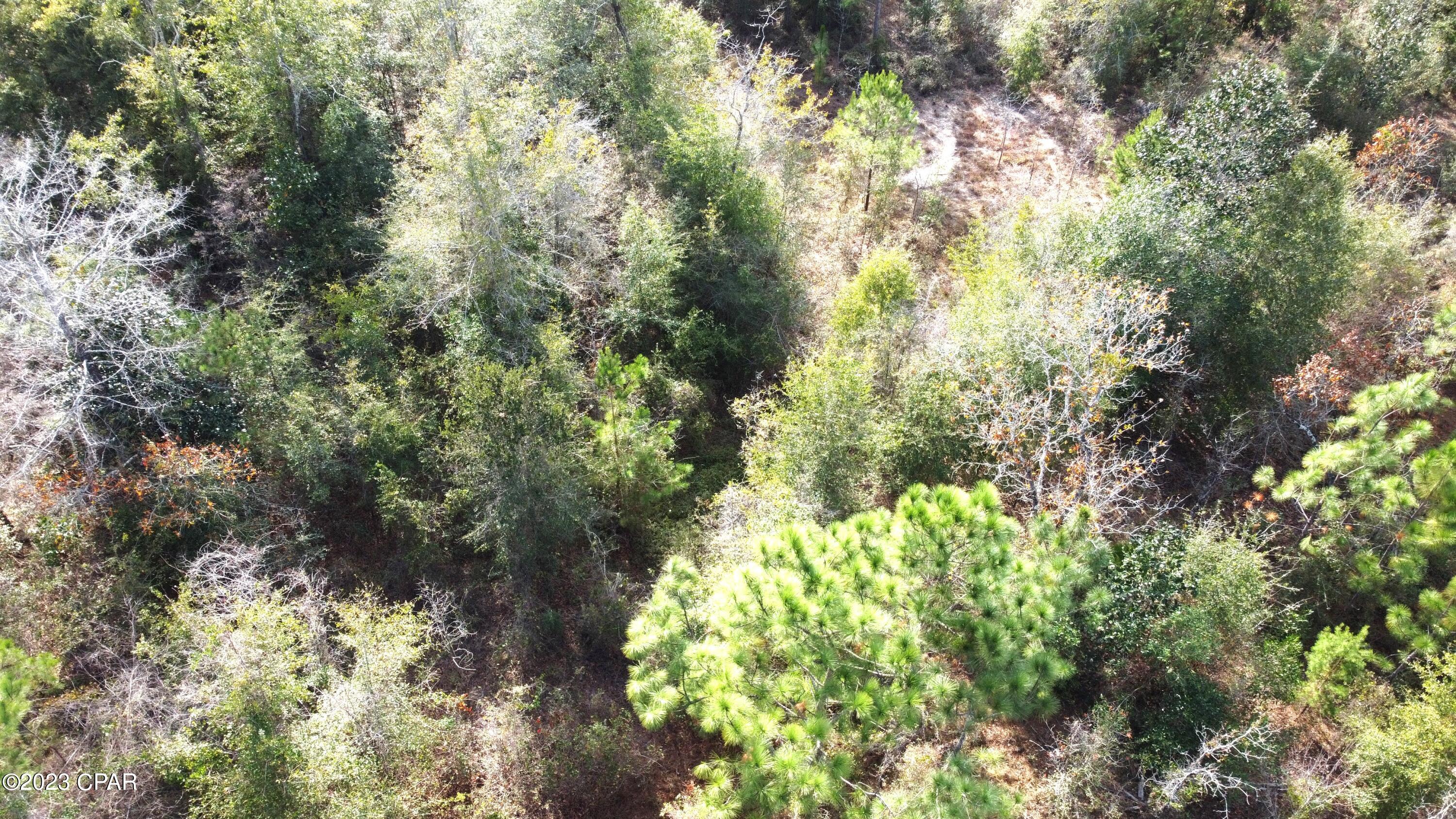Other - Land