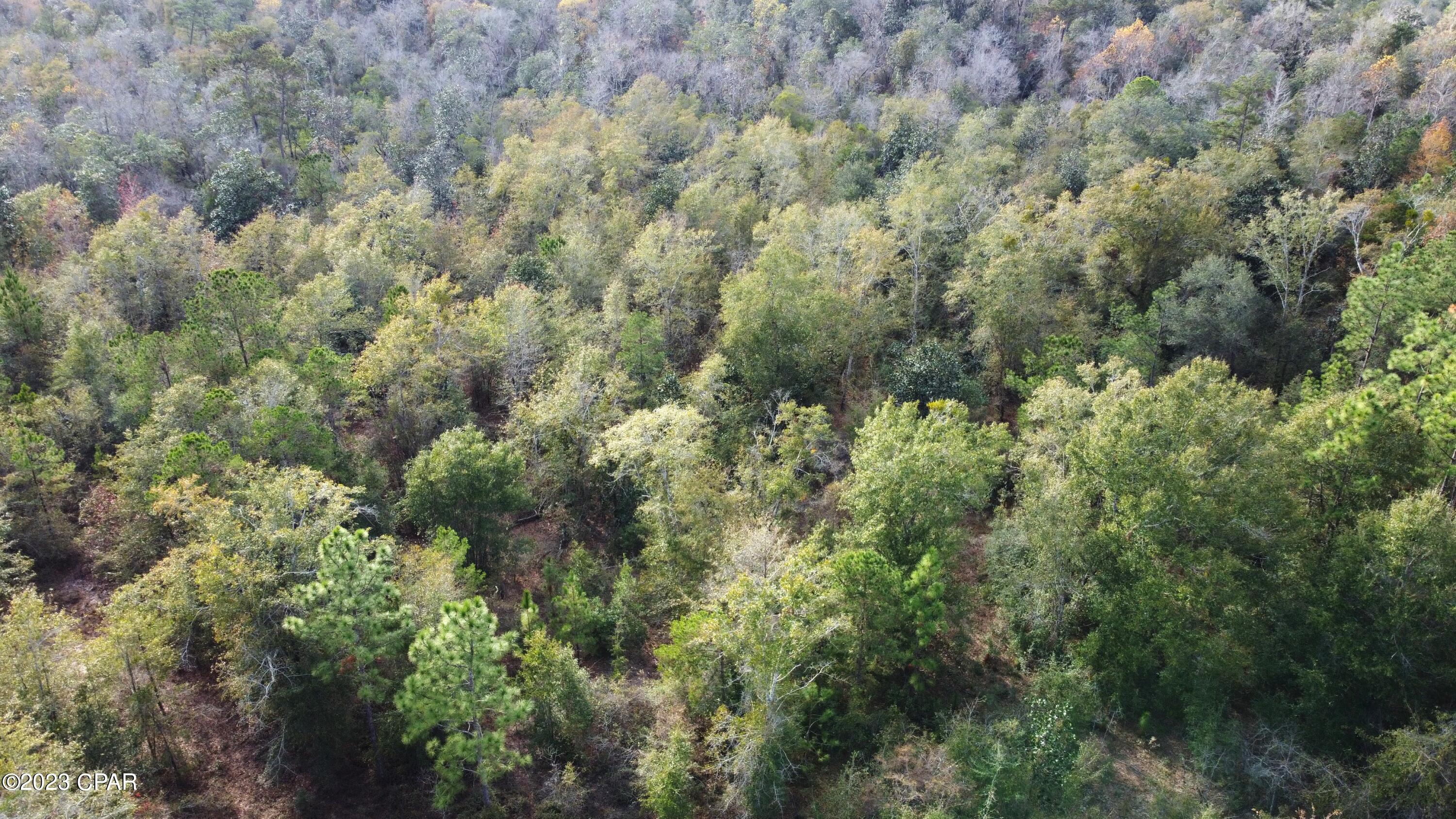 Other - Land