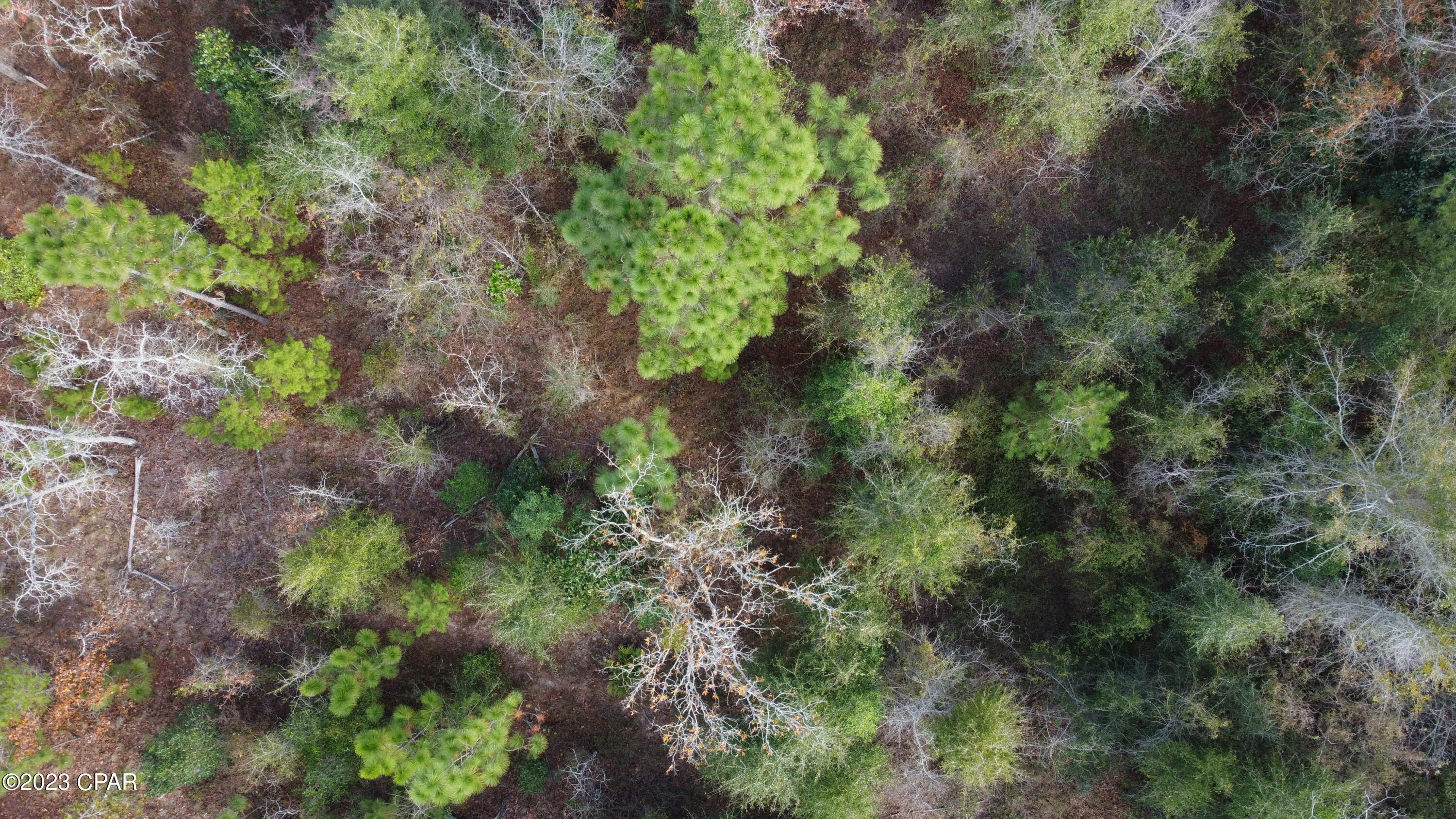 Other - Land