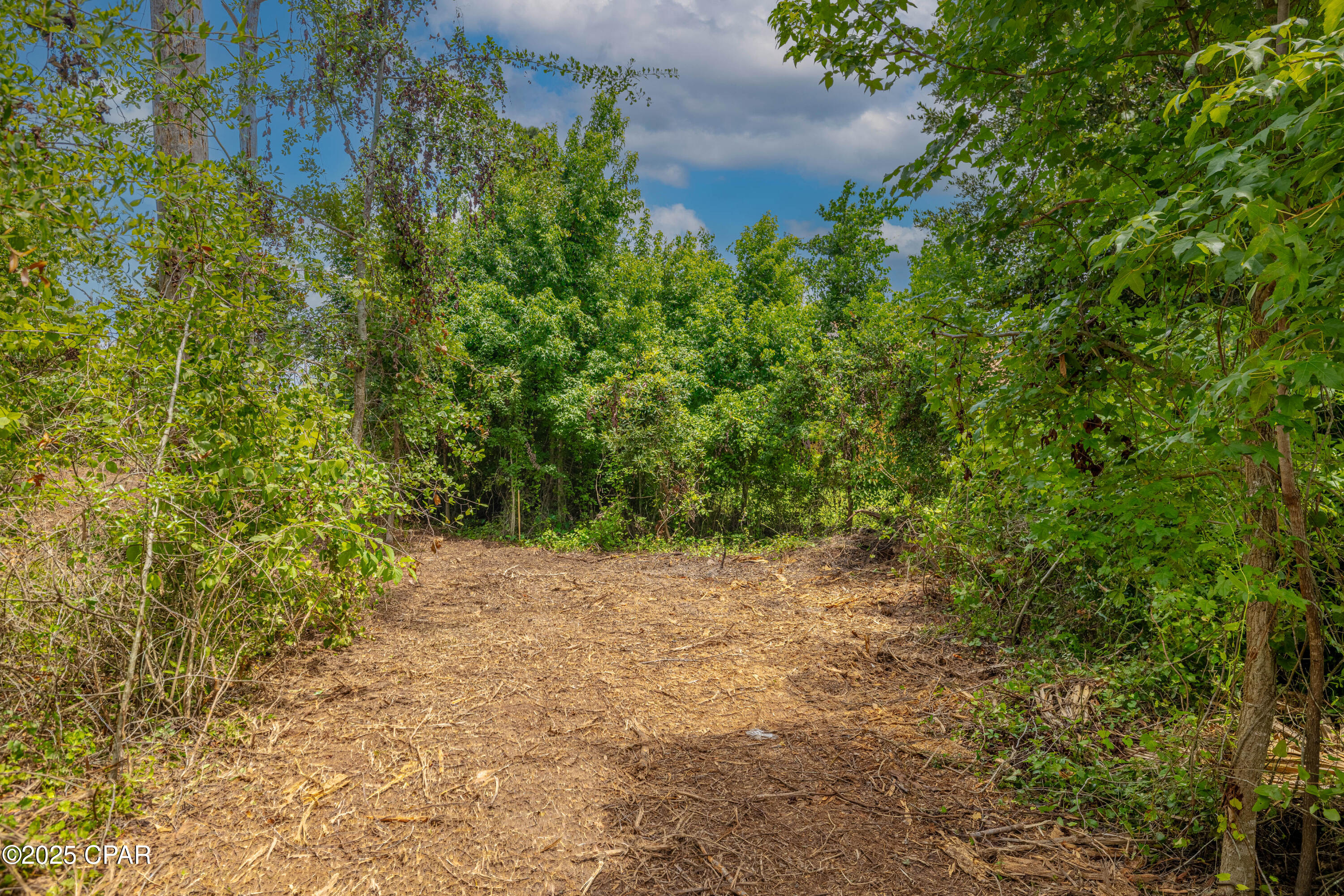 Osprey Point - Land