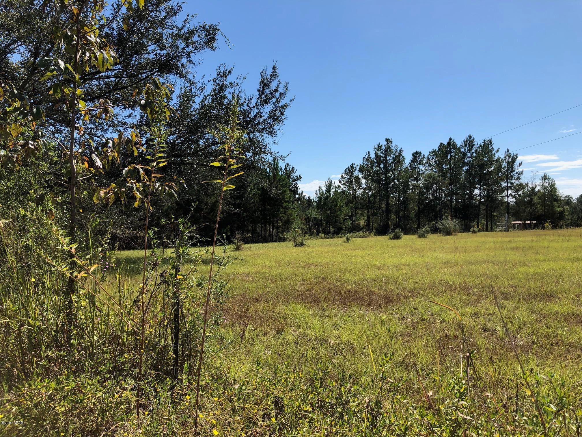 Active-Contingent--Seller would like property to be shown for Back Up Offers until contingency is removed.        5 ac  for a small homestead with some  beautiful sites for a home.   Part of the land (1-2acres) is cleared and remaining is wooded. This land is not restricted so you could have a home or mobile home with most any animals you'd like.  Enjoy country living to the fullest!