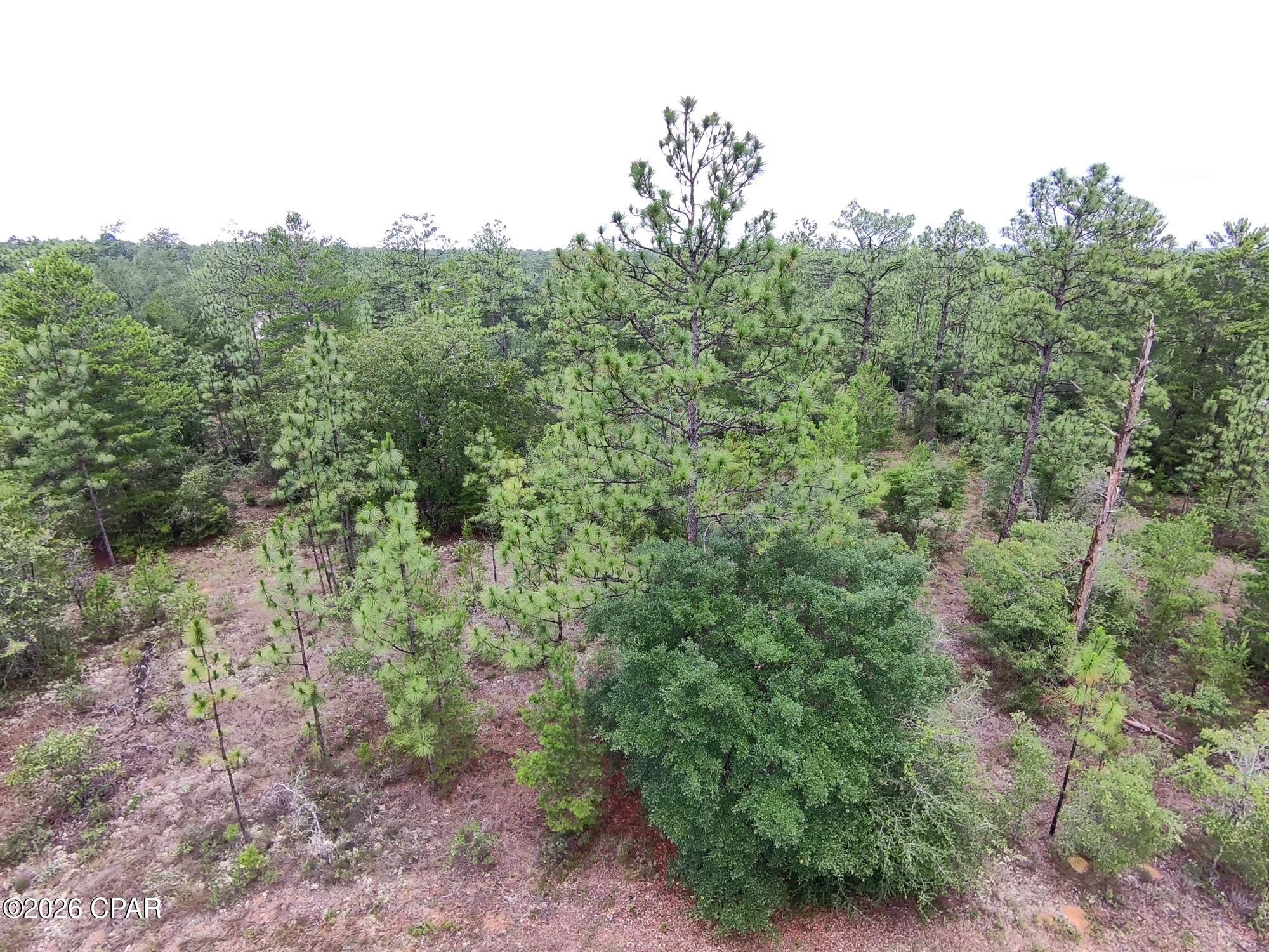 Oversized .42 Acre Building Lot in Growing Sunny Hills - Exceptional Value!

Here's your chance to secure an oversized homesite in one of Sunny Hills' fastest growing areas! Located on New Moon Drive, this beautiful 0.42 acre residential lot offers significantly more space than the typical quarter-acre lot found throughout the community--yet it's available at a price that makes it an incredible value.

Lightly treed and easy to clear, this property provides an ideal canvas for your future home. The larger lot size gives you extra room for a spacious residence, detached garage, workshop, garden, pool, or outdoor entertaining area while still maintaining privacy from neighboring properties.

Situated in a section of Sunny Hills experiencing substantial new construction activity, this lot is surrounded by the momentum of growth and development. Buyers and builders alike are recognizing the value of Sunny Hills, making now an excellent time to invest before prices continue to rise.

Conveniently located near Highway 77, you'll enjoy easy access to Chipley, Panama City, shopping, dining, recreation, and the beautiful Gulf Coast beaches.

If you've been comparing lots, you'll quickly recognize the value here. Why settle for a standard 1/4-acre lot when you can own nearly twice the space for a comparable price? Opportunities like this don't last long.

Take advantage of this opportunity before this oversized homesite disappears!