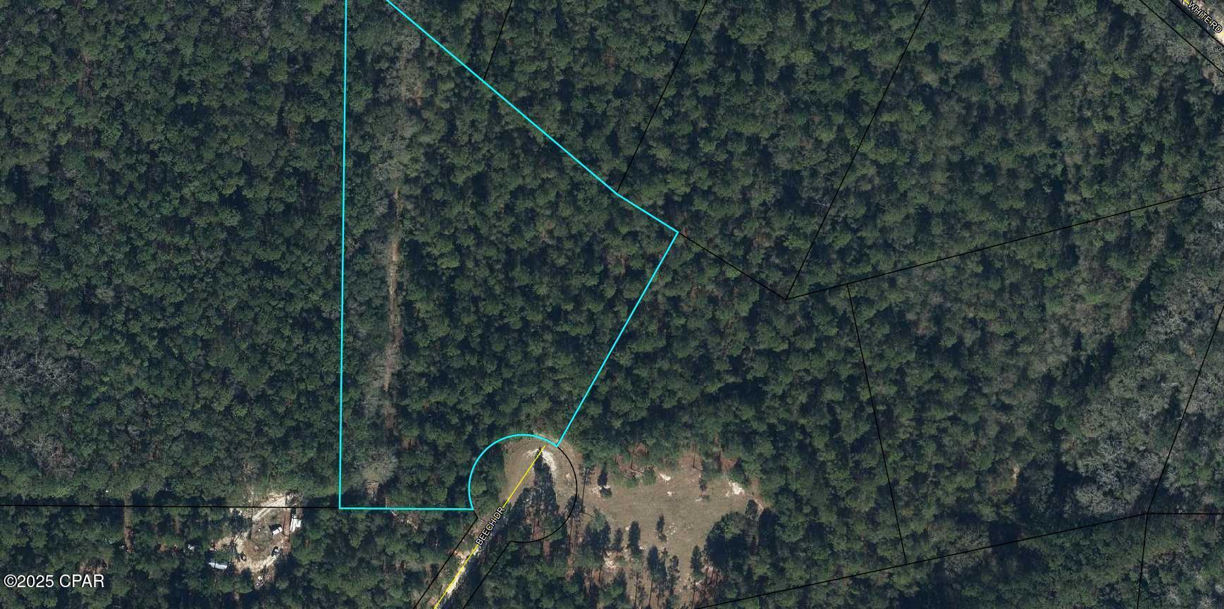 Reedy Creek - Land