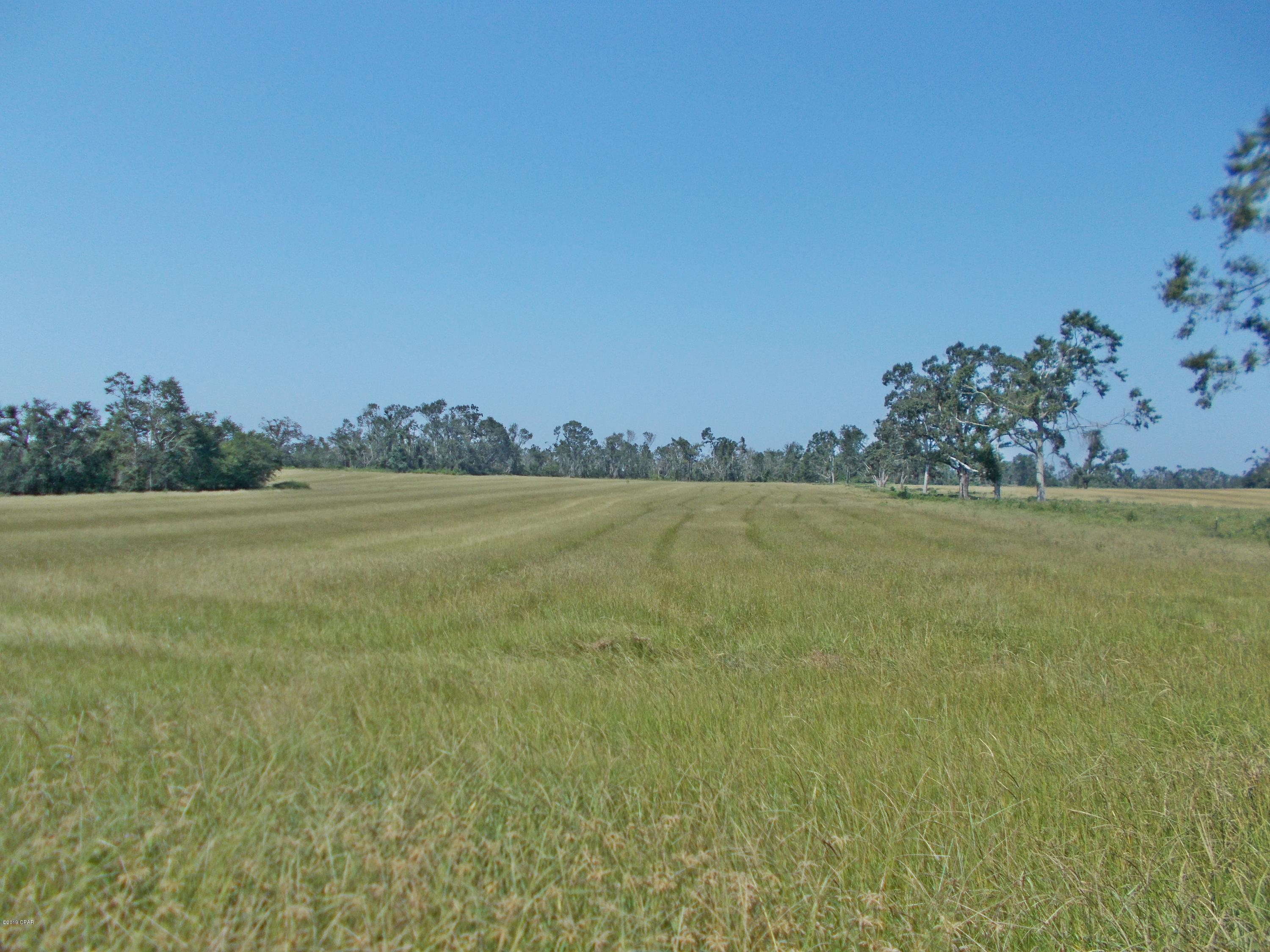 Very nice large parcel of land mostly planted in hay. This is very close to Marianna and  would make an great mini farm. As far as I can tell there are no wet areas on this property, go by and view it at any time.