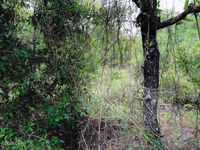 Compass Lake In The Hills - Land