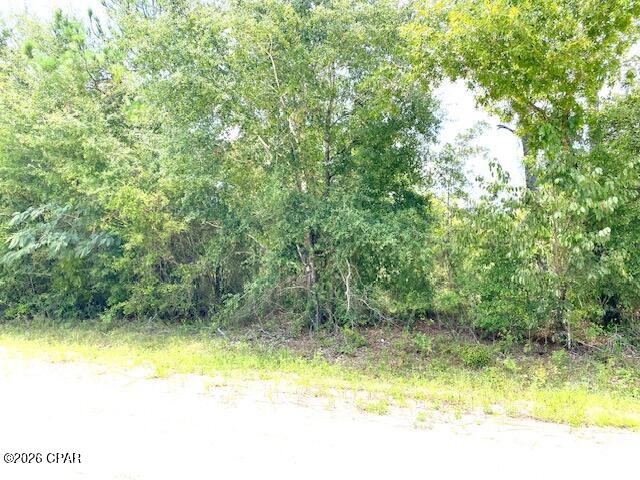 Nice wooded residential lot located in Compass Lake in the Hills, only a short drive or bike ride to the pristine McCormick Lake. 
Compass Lake in the Hills is located about an hour from Panama City FL and the most beautiful white sandy beaches you have ever seen.  It is also convenient to Interstate 10 and Northwest Florida Beaches International Airport.
You can boat, fish, ski, or swim in the 581 acre Compass Lake.  The Chipola River and Econfina Creek are nearby for canoeing and kayaking.
It is a perfect place for your permanent, retirement, or vacation home. 
Doublewide homes are allowed. Buyer pays all closing cost.