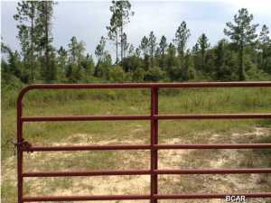 100 Acres of rolling terrain located at 621 Pike Pond Rd., Chipley, FL (about an hour from Panama City, FL). Beautiful property with hills; some timber and large pond. Plenty of wild game with private 600+acres located behind property. Power and well located on one (50) acre parcel (right side). Property could be subdivided for future investment. PARCELS 3 AND 4 can be sold for $79,500 each. This is one of the best priced for the amount of land!