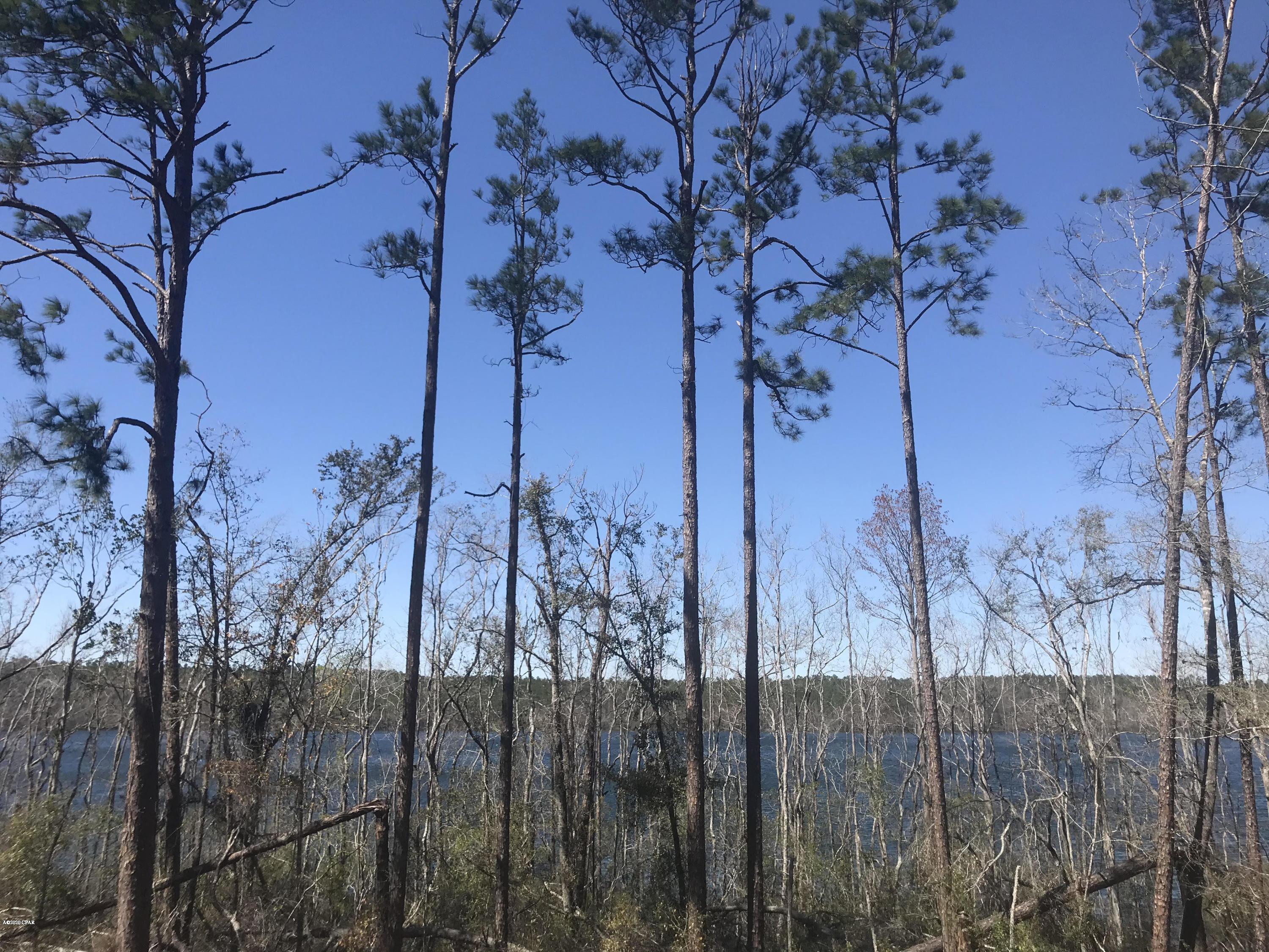 Compass Lake In The Hills - Land
