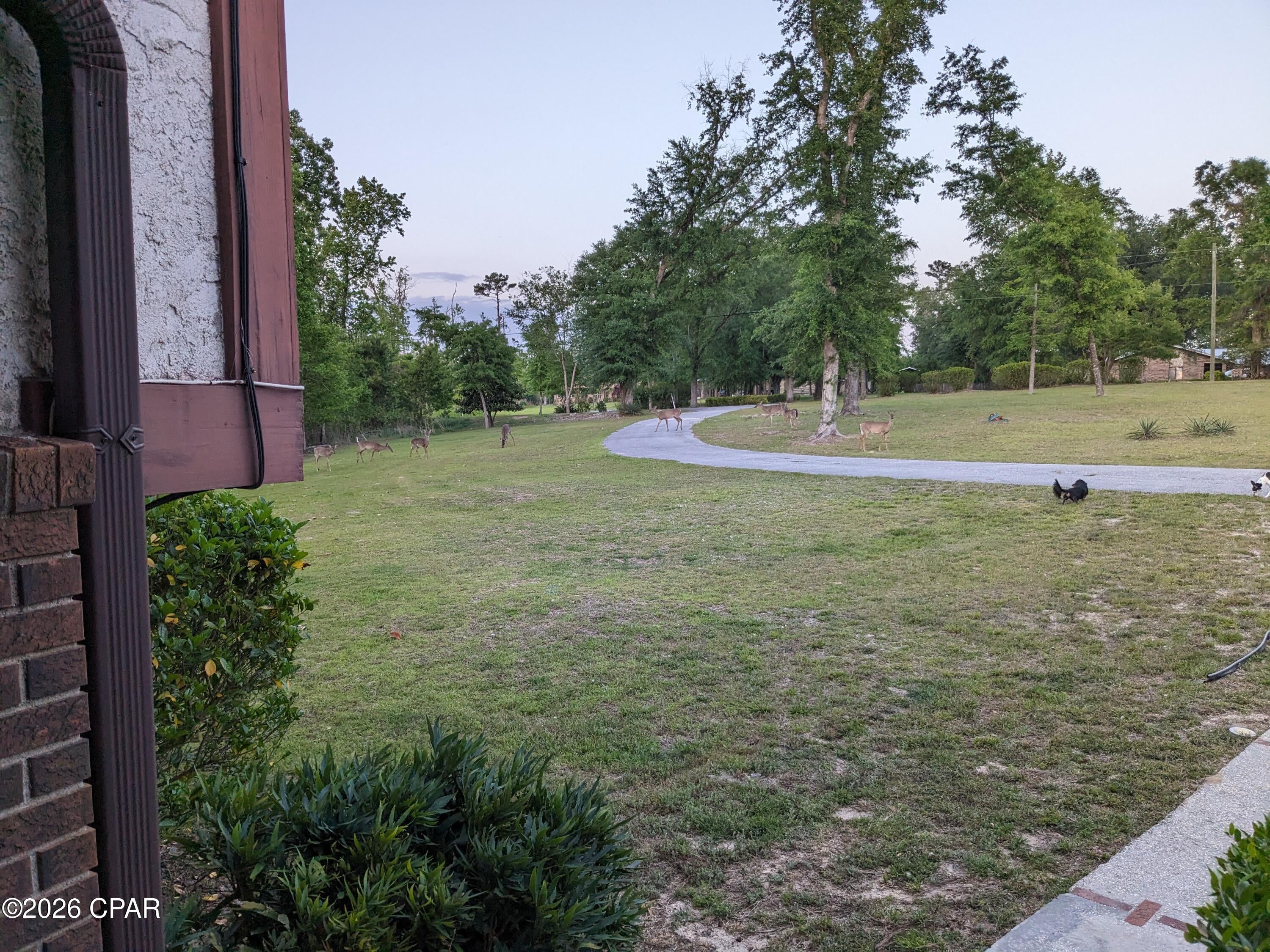 Spring Creek Estates - Residential