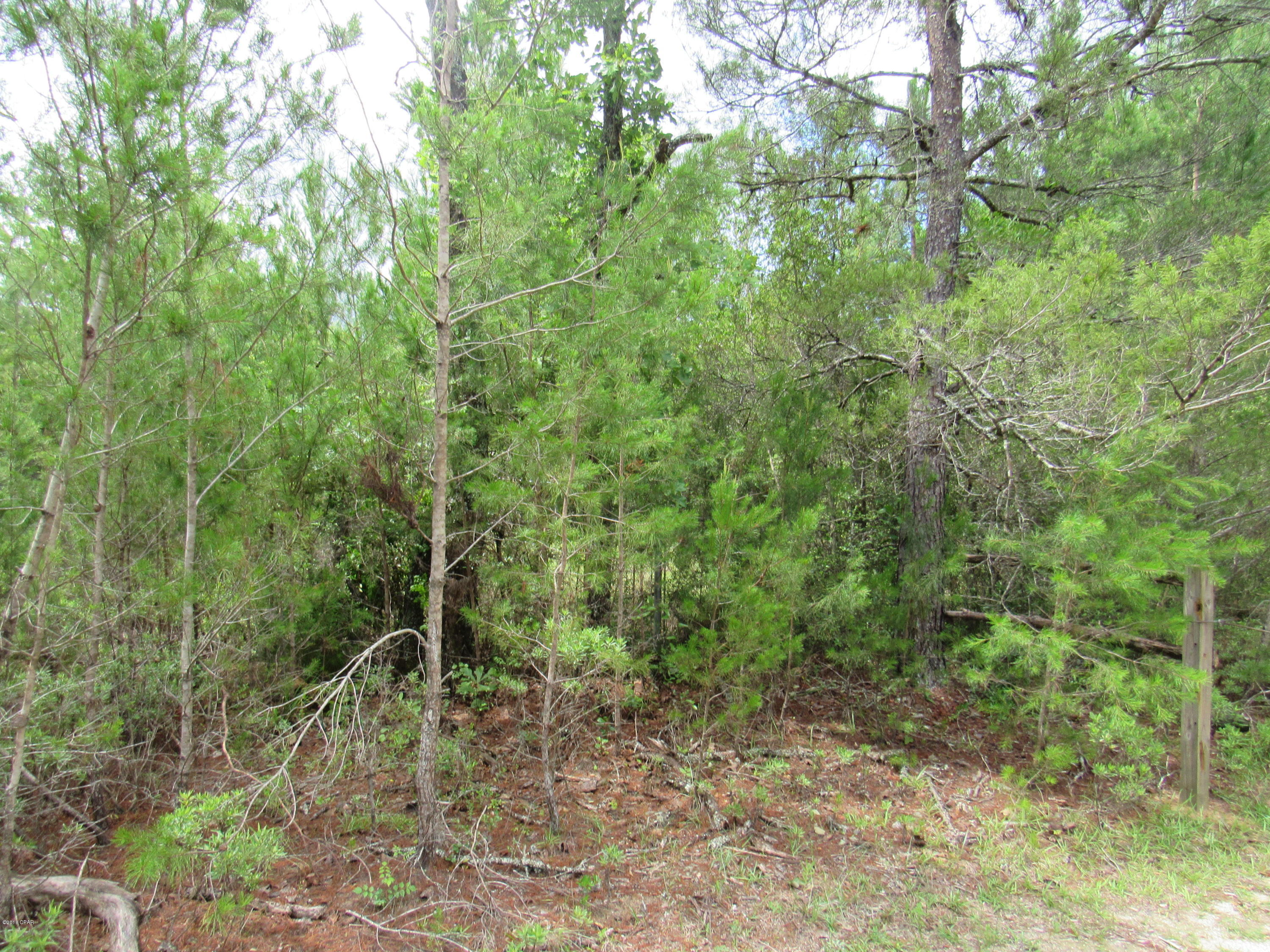 No Named Subdivision - Land