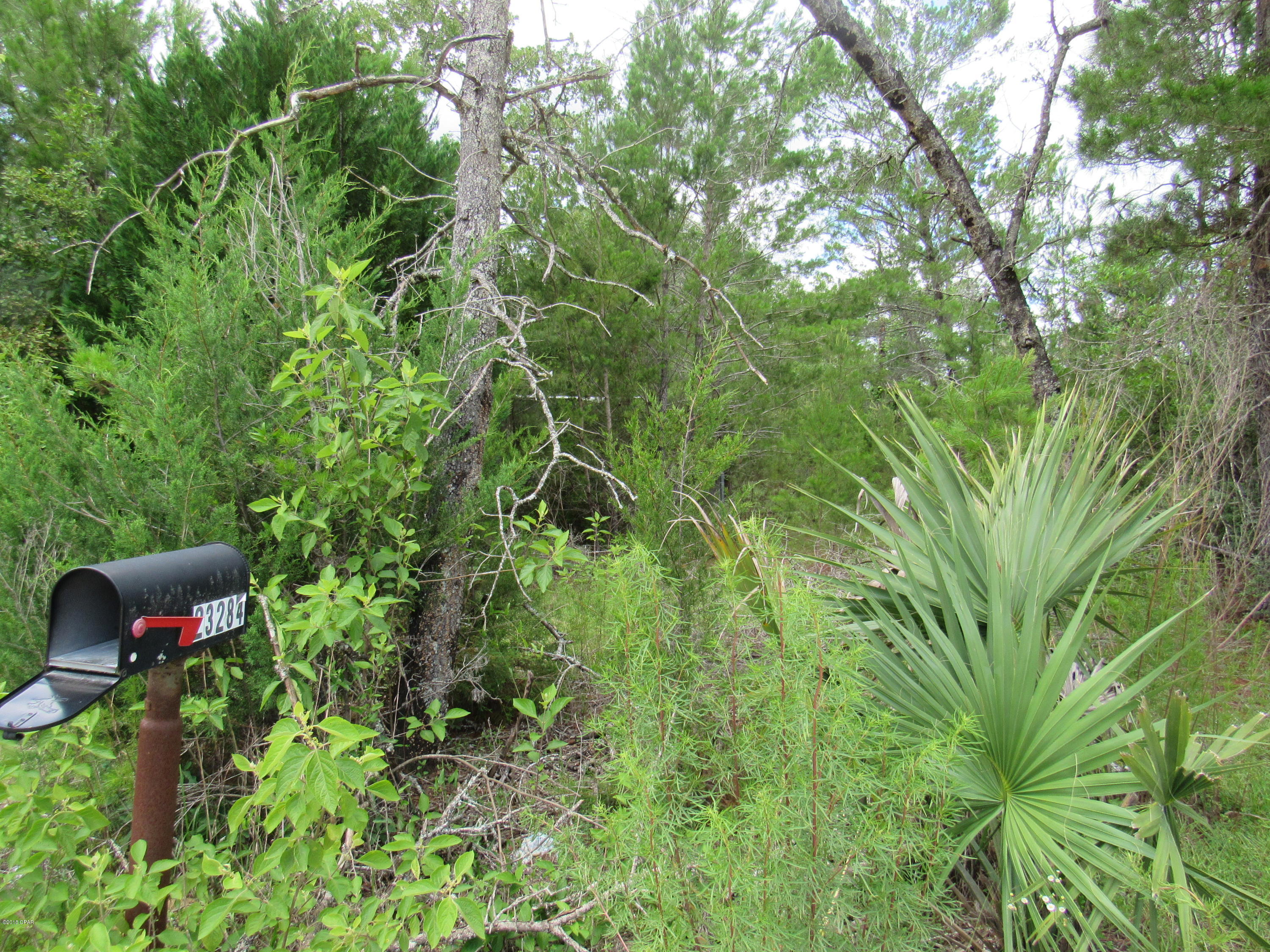 Have your own private corner ten acre parcel that can be completely fenced in for total privacy! Calhoun County has gorgeous land! It has great potential for a beautiful home, camping, and four wheeling! Just a short drive to the stores including a grocery store in Fountain and about an hour and twenty minutes away from the beautiful, white sandy beaches of Panama City Beach! A hunters paradise!  There are a couple structures on the property but they need to be torn down. They are not safe to enter. No title to mobile. Please verify all information.