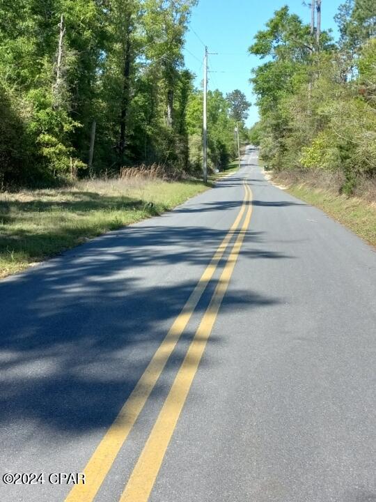 White Pond Plantation - Land