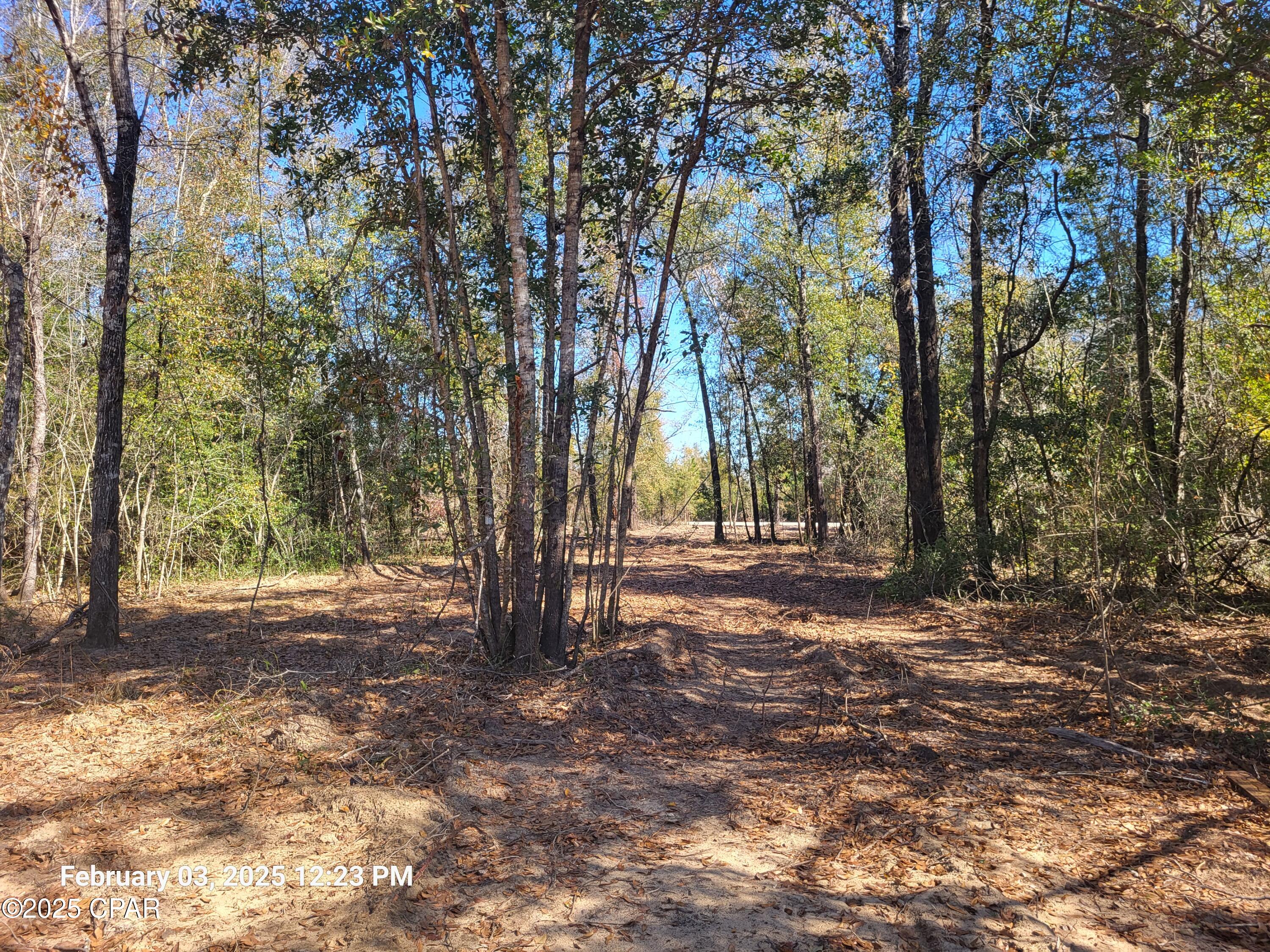 White Pond Plantation - Land