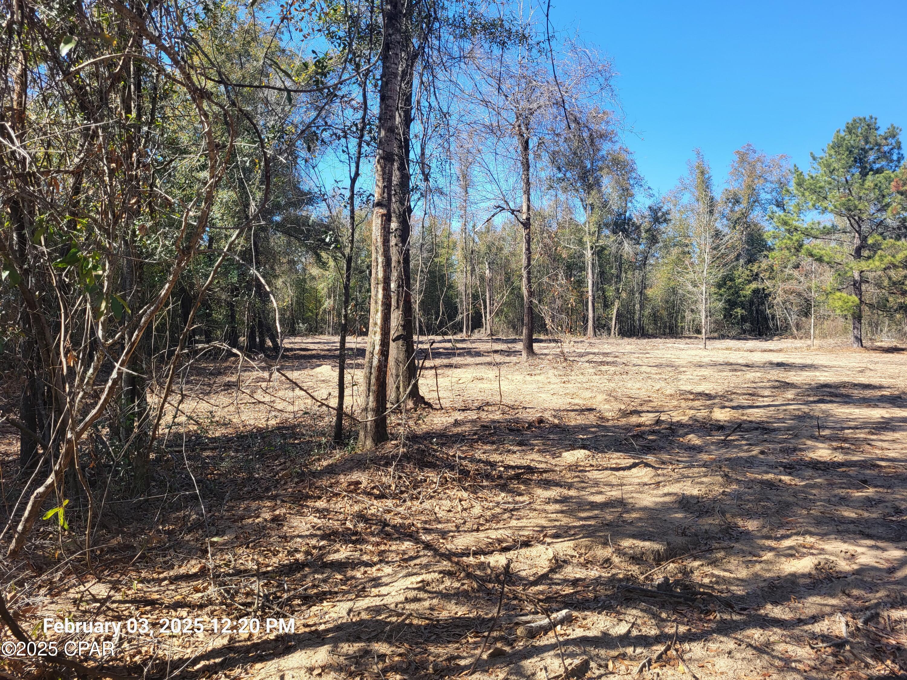 3 Acres of great land to build your dream home! This lot has already been surveyed and Lot Lines cleared.  Some Clearing is done so that you can see the perfect spot for your home. NO HOA! More lots are available if you would like more land. All lots are on County Maintained Roads with easy access. Homes must be at least 960 Sq Ft. heated and cooled. NO Flood Zone. You can have as much privacy as you want. Ask your Realtor to send you the Information about White Pond Plantation. You will love this beautiful land!