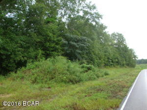 15+ Acres. Wooded with hardwoods and pines. Lots of frontage on county paved road. Nice and quiet rural area. Lots of deer and wildlife. Short distance to the Alabama line. Priced to sell.