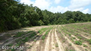 31 Acres +/- located in North West Holmes County FL. Property has HWY frontage on 179A crop and timber land of hard wood and pines trees. Great place to build your dream home or for your mobile home. Deer and other wildlife roam this property making this a good hunting parcel.