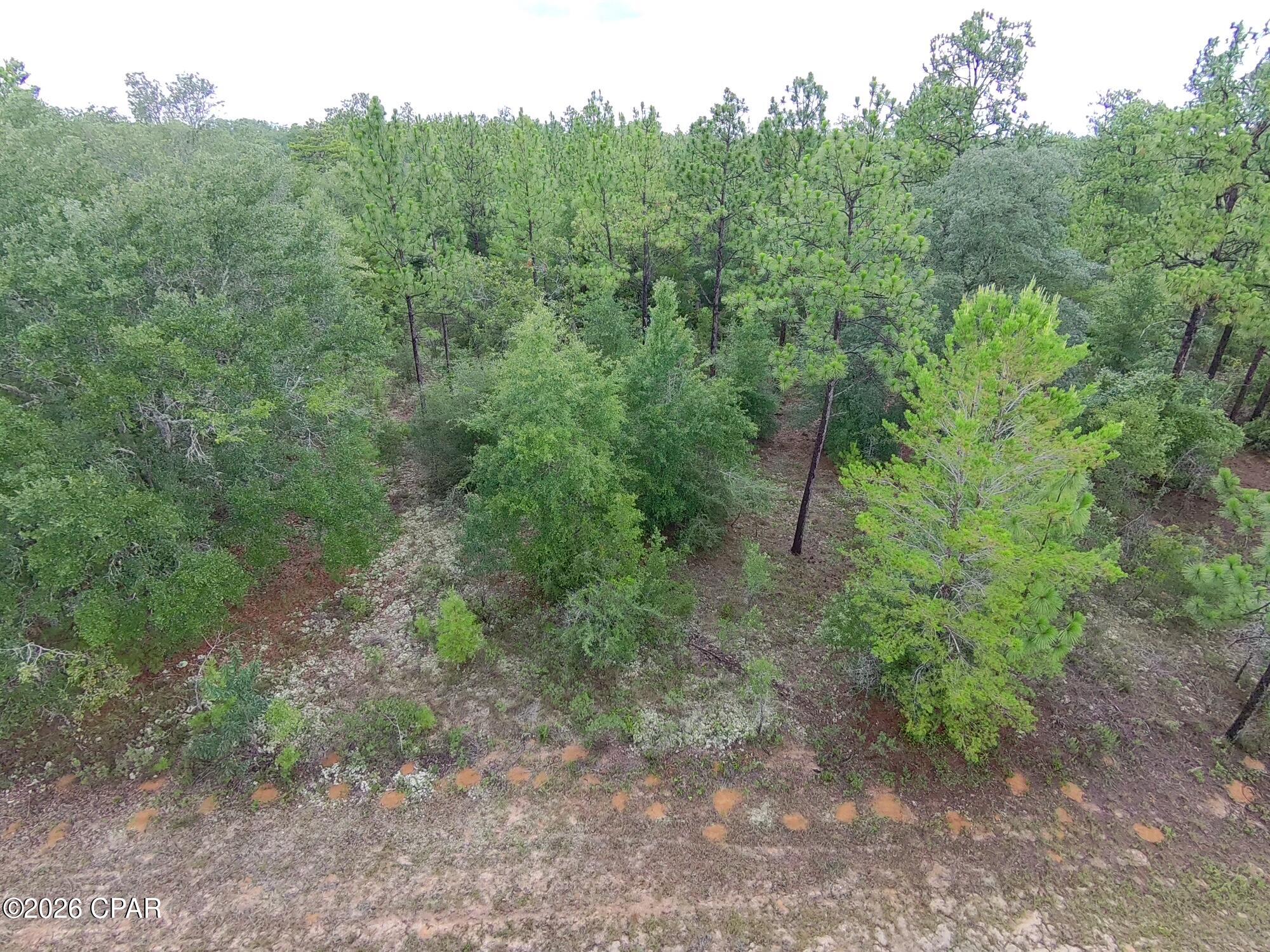 Build your dream home in one of the most desirable and fastest-growing areas of Sunny Hills! This beautiful .229-acre residential lot, located at Lot 22 Yorkshire Drive, offers the perfect combination of natural beauty, privacy, and convenience.

The property features flat elevations and light tree coverage, making site preparation and construction easier and more cost-effective. According to US Water, public water service is available at the property (buyer should verify availability and connection requirements), adding to the lot's outstanding build potential.

One of this homesite's most attractive features is its exceptional location. The lot sits directly across the street from Blue Homestead Lake, a beautiful 95-acre Deltona-owned greenspace, providing a beautiful lake with peaceful wooded views and an open, natural setting that enhances both privacy and the overall feel of the neighborhood. Having protected greenspace nearby is a rare advantage that helps preserve the area's scenic character.

Sunny Hills is known for its 18-hole public golf course, numerous lakes and parks, rolling terrain, and convenient location between Chipley and Panama City. Whether you're looking to build your forever home, a seasonal retreat, or simply invest in one of Northwest Florida's growing communities, this property offers exceptional value.

Affordable, buildable lots in locations like this are becoming increasingly difficult to find. Don't miss your opportunity to own a beautiful homesite across from greenspace in one of Sunny Hills' most desirable growth areas!