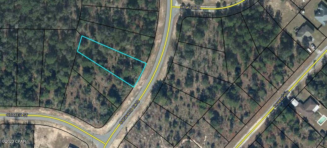 Nice oversized building lot in Sunny Hills. Lot is mostly wooded. Not far from Boat Lake for seasonal swimming. Several fishing lakes in the area. Approx. 45 minutes to Panama City Beach, 20 minutes to Chipley for local shopping and medical. Restricted to site built homes only, no mobile homes. Deed restrictions.
