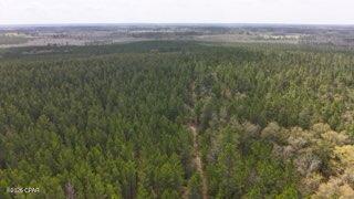 Fresh opportunity to own a versatile 14+/- acre tract suited for recreation, outdoor enjoyment, or a private hunting retreat. The property features young planted pines and a layout that supports a variety of uses. Bring your horses, ATVs, and hunting gear--there's plenty of room to make it your own. Access is available to I-10, Hwy 79, Hwy 90, and the Panama City beaches. Additional land available.
Highschool is Vernon