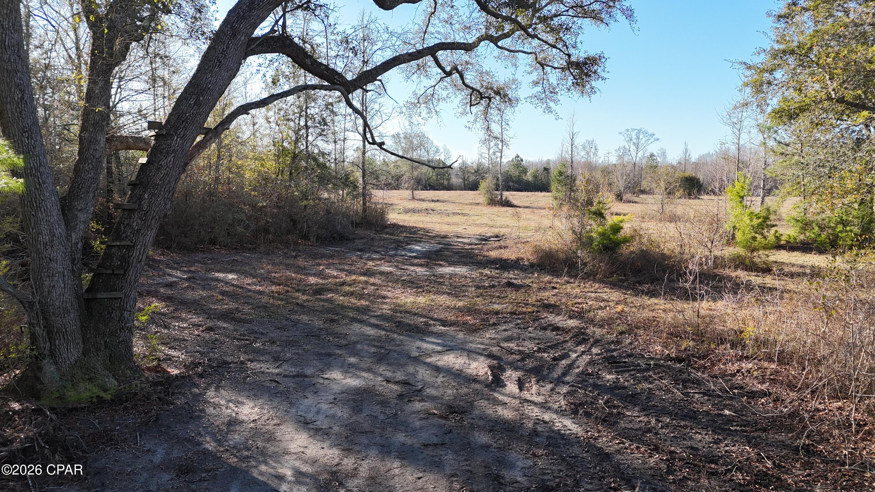 Nestled in a peaceful, rural area in Bonifay, Florida, this stunning 20-acre parcel offers the perfect blend of seclusion, natural beauty, and endless potential. With 660 feet of road frontage, the property feels wonderfully private yet remains easily accessible. A generous cleared area awaits your dream home, ready for you to build exactly the life you've imagined.

This land is a true hunter's paradise—rich with mature timber and ideal habitat for abundant deer, making it a dream spot for those who love the outdoors. And when you're ready for sun, sand, and the turquoise waters of the Gulf, you're just under an hour from Panama City Beach—home to some of the world's most breathtaking, sugar-white beaches.

It's more than just land—it's a rare opportunity to own your own peaceful slice of Florida paradise, where quiet mornings, wildlife, and coastal getaways are all part of everyday life. Truly special, and waiting for the right owner to call it home.