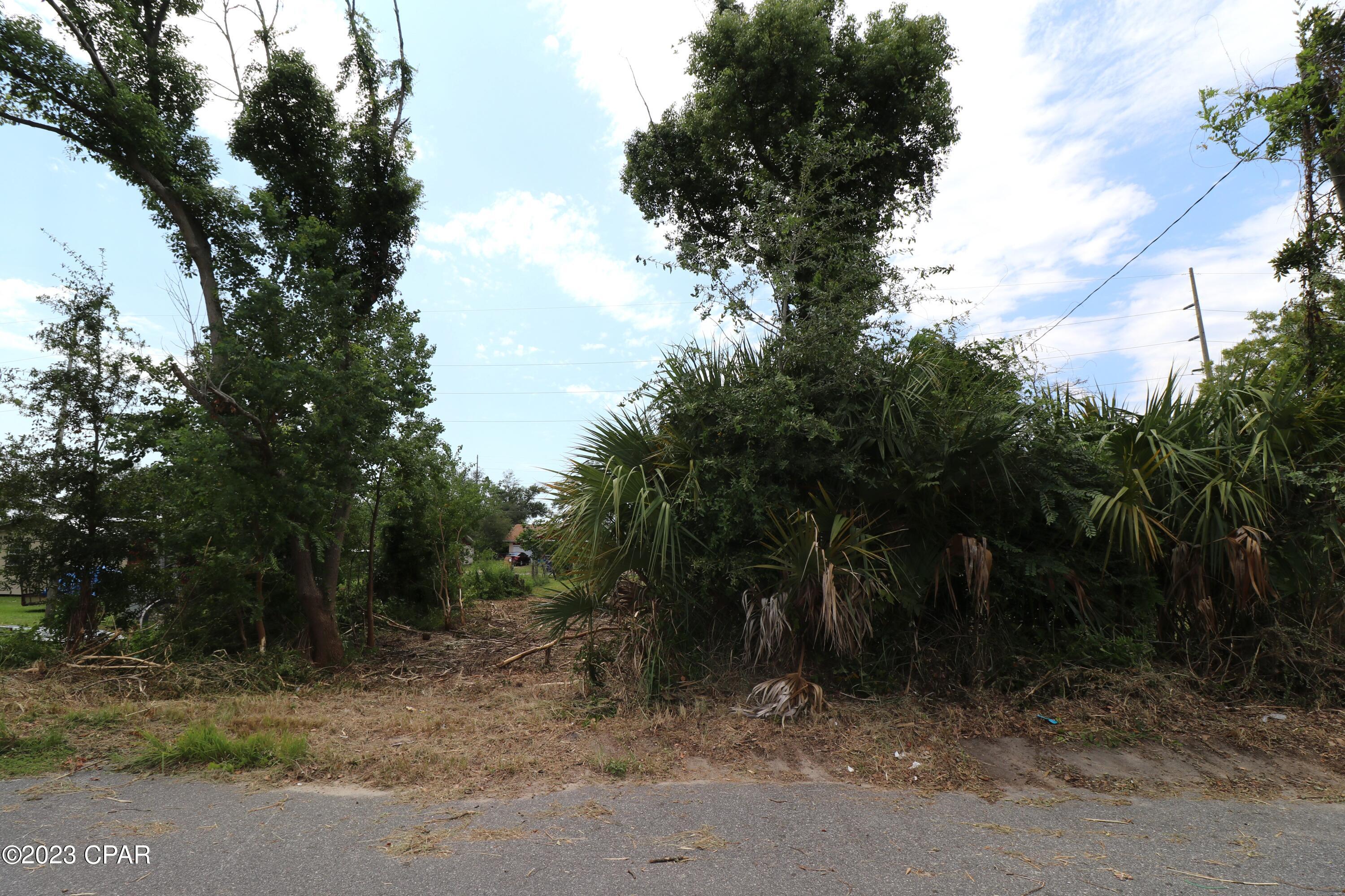 Pine Orchards Hgts 1st Add - Land