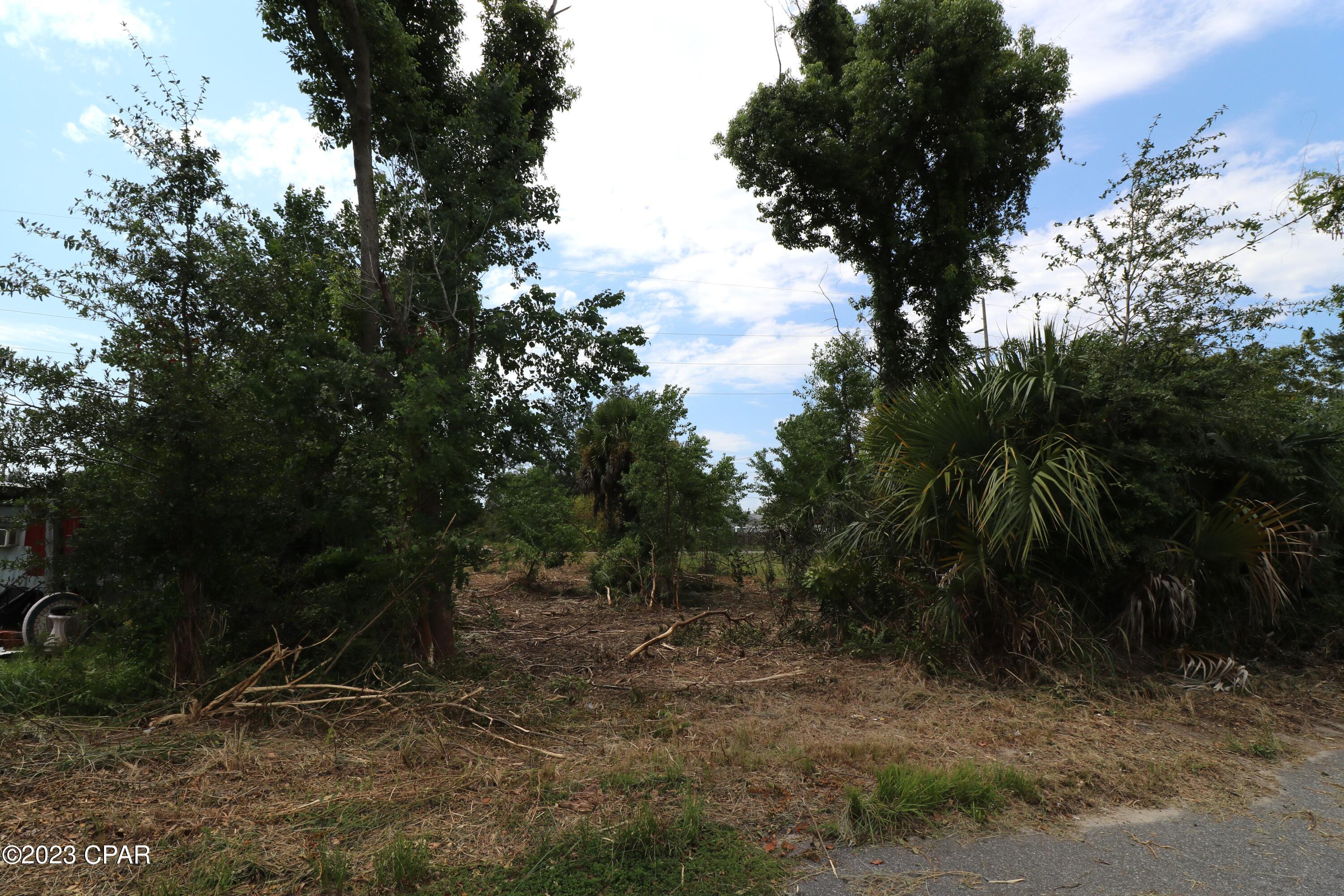 Pine Orchards Hgts 1st Add - Land