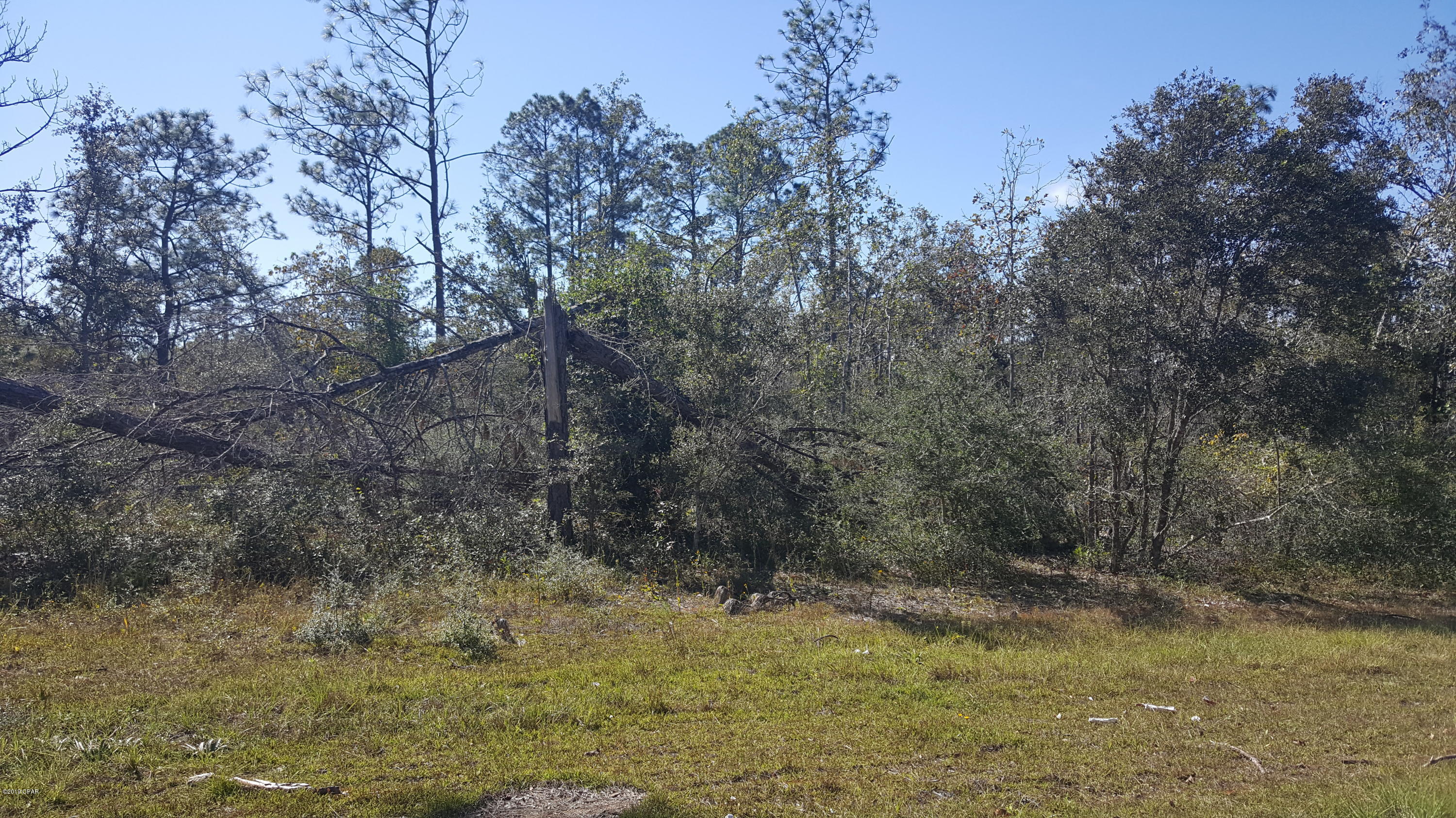 Compass Lake Hills Unit 2 - Land