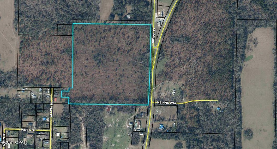Over 20 year old Long Leaf Pines  Located in the Town of Greenwood city limits. This property has many uses. Would be a great commercial endeavor location or with city water access, a planned subdivision. Need more acerage? The adjoining land is also for sale MLS 675224. This property is perfect to build your dream home in the middle for the peace and quiet you deserve.