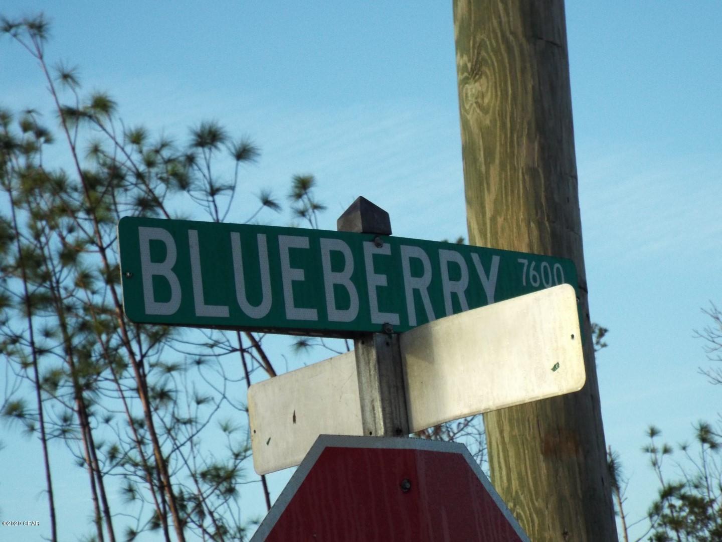 One acre lot currently being cleared offered as is.  the lot had an manufactured home on it so there is a well and septic but they are not guaranteed.