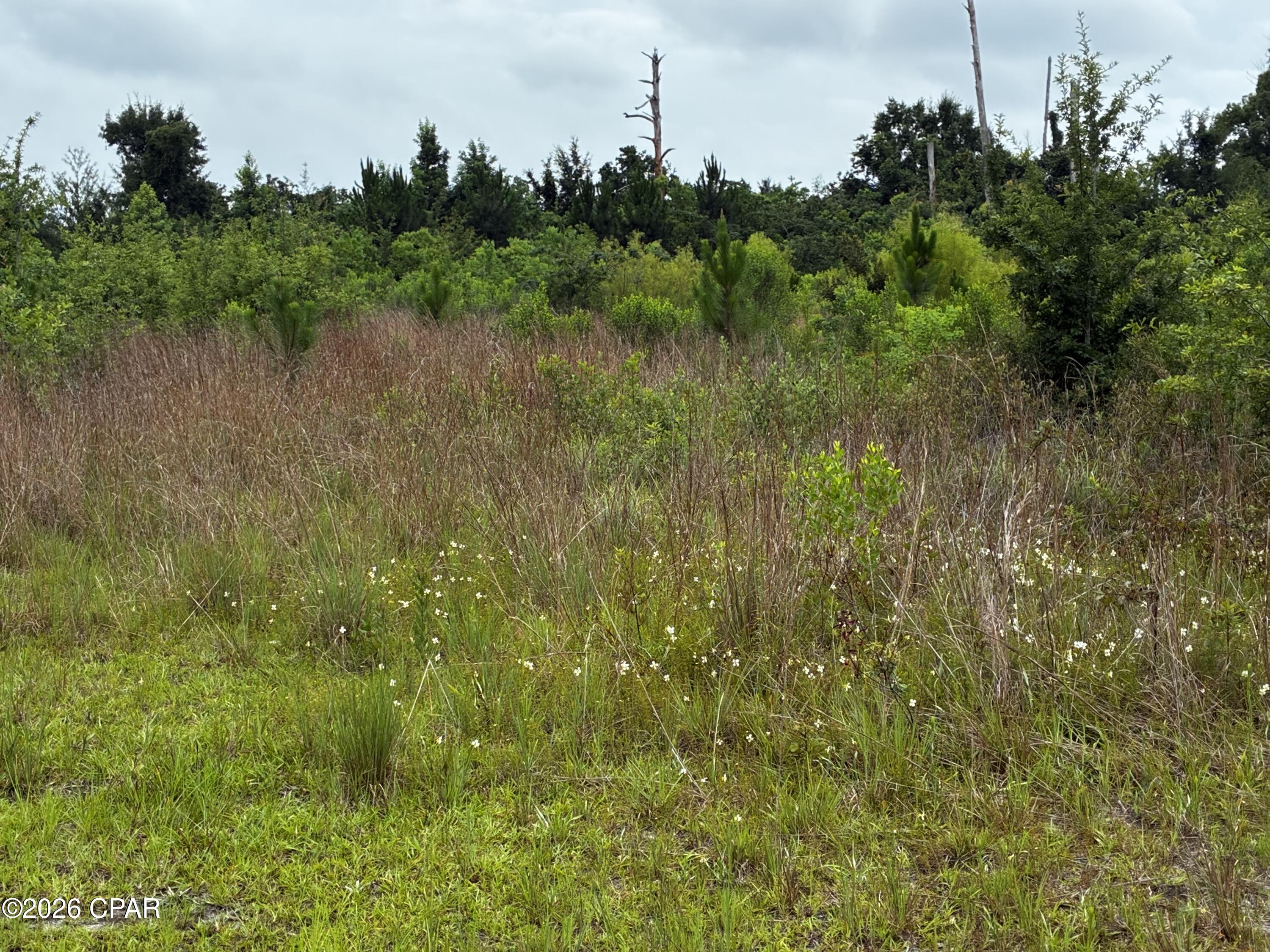 Great opportunity to build your dream home or investment for development. 2.59 uncleared land. Convenient to major roadways. Walking distance to shopping, schools, walking trails, and bike trails. Flood Zone ''Z'' according to 2021 Survey. Buyer should verify all information deemed important, land uses, zoning, and measurements.