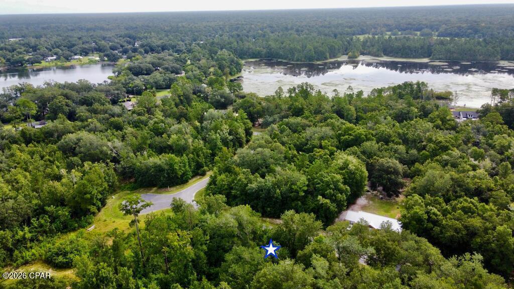 Seven Springs Lake - Land
