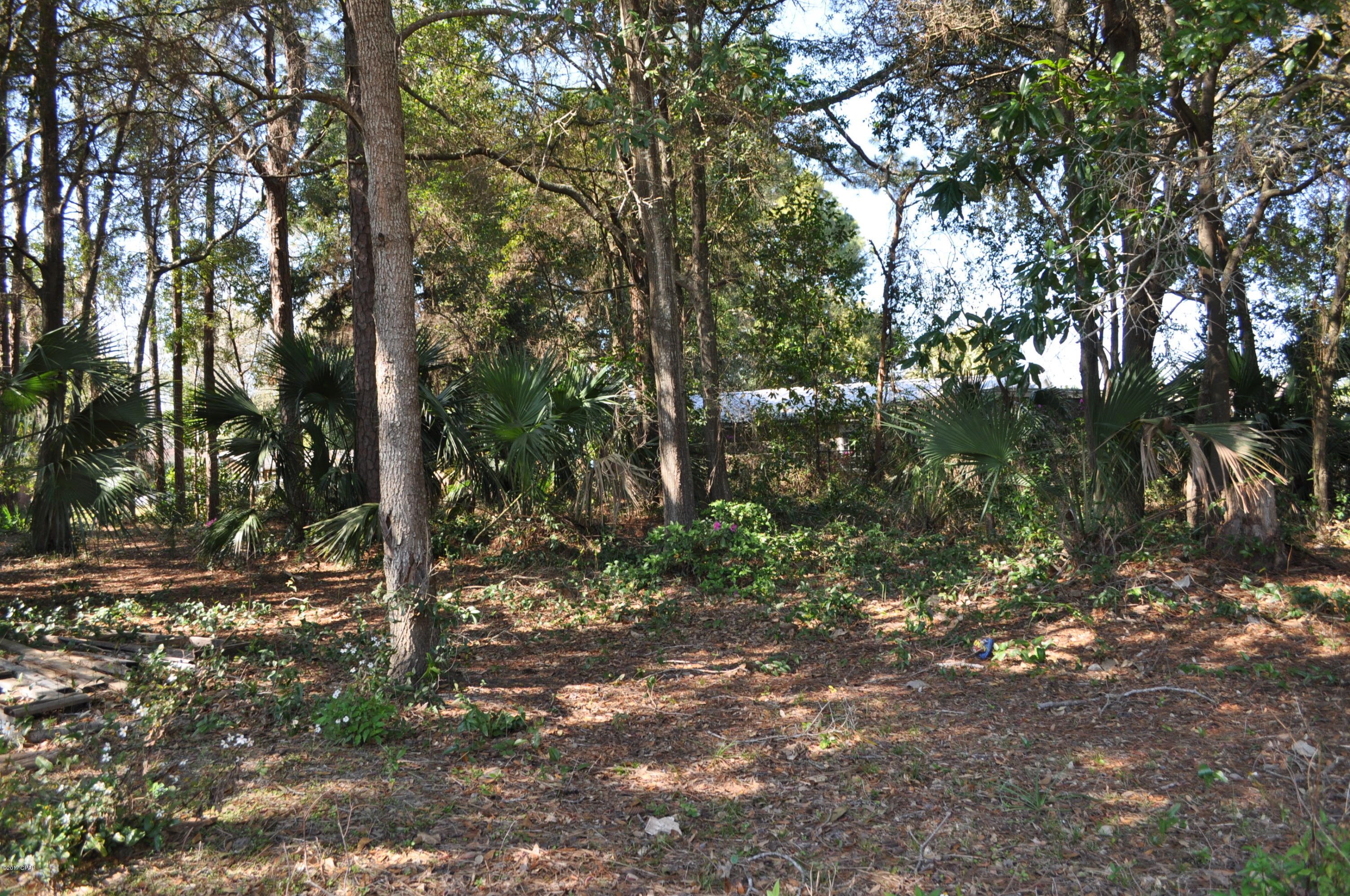 Woodlawn Unit 2 - Land