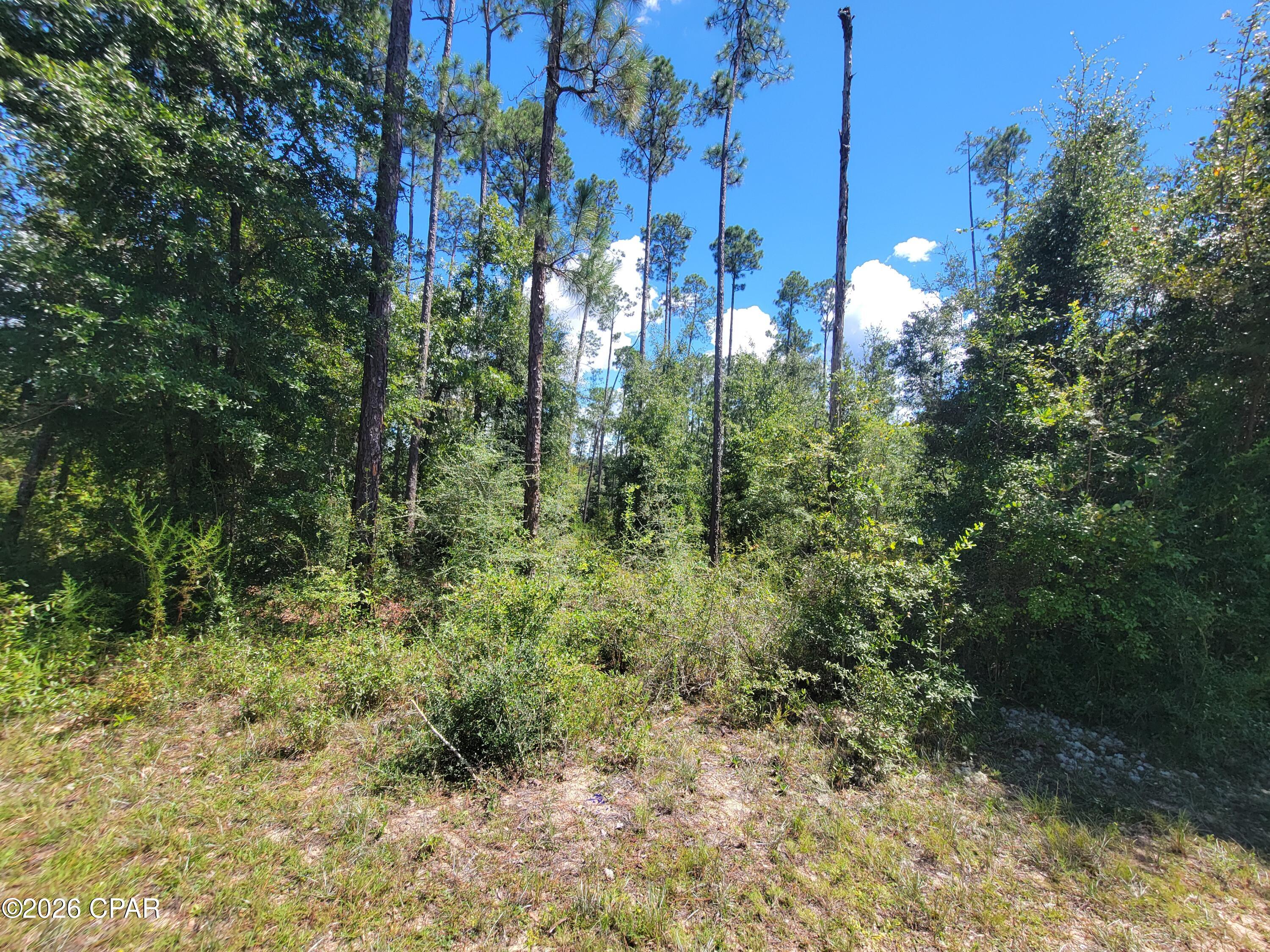 Compass Lake Hills Unit 5 - Land