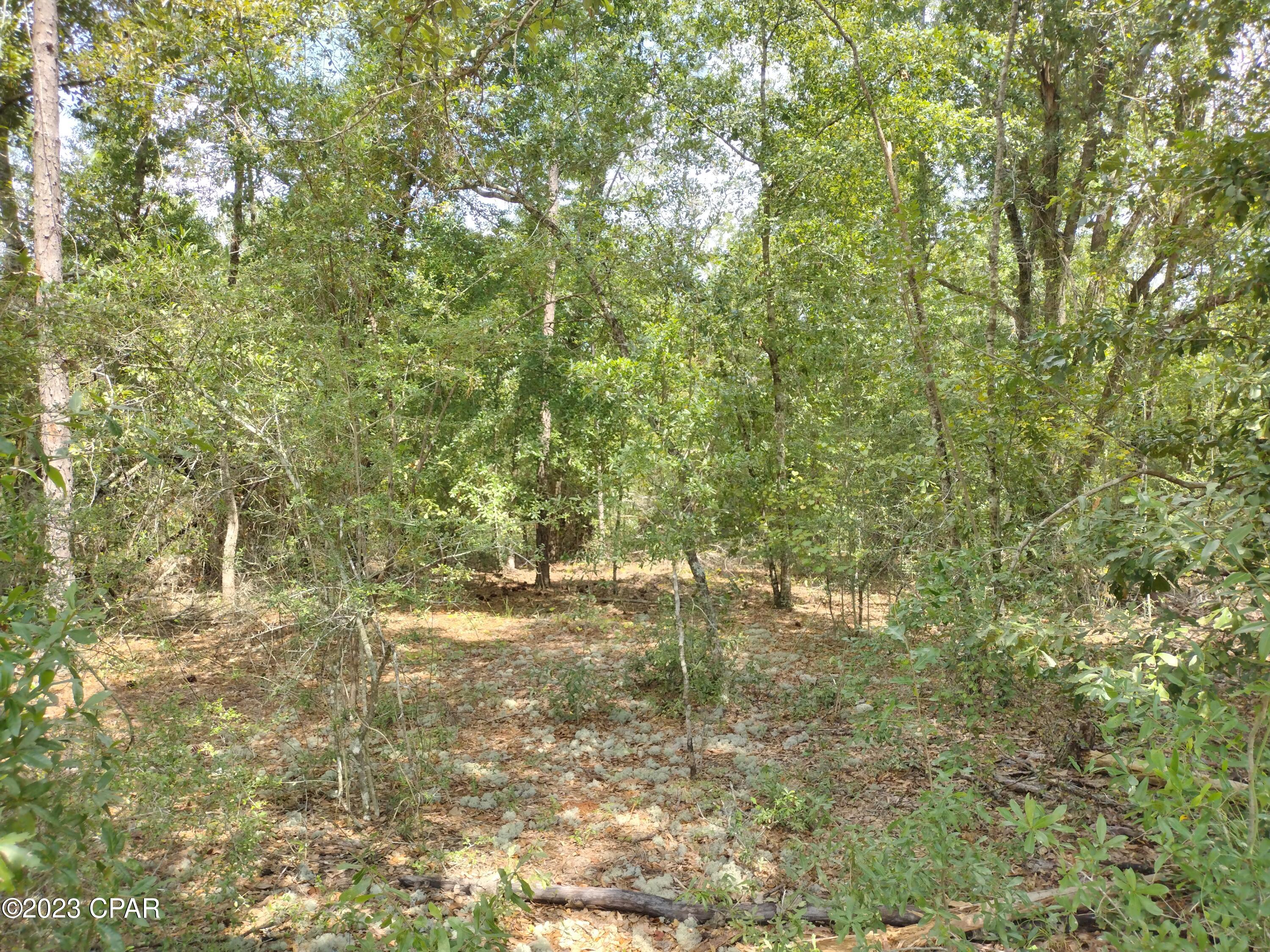 Compass Lake Hills Unit 3 - Land