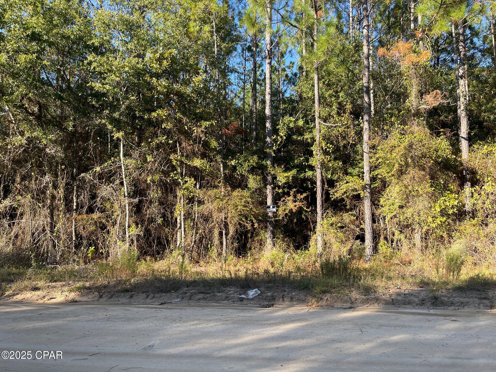Escape to peace and privacy with this beautiful 7.5-acre wooded lot located in the quiet countryside of Greenwood, Florida. This property offers the perfect blend of seclusion and serenity. Whether you're dreaming of building your forever home, a cozy cabin retreat, or simply investing in a slice of untouched Florida landscape, this property provides endless potential. Only a 13-minute drive to the town of Marianna and a 16-minute drive to the Super Walmart and local restaurants.