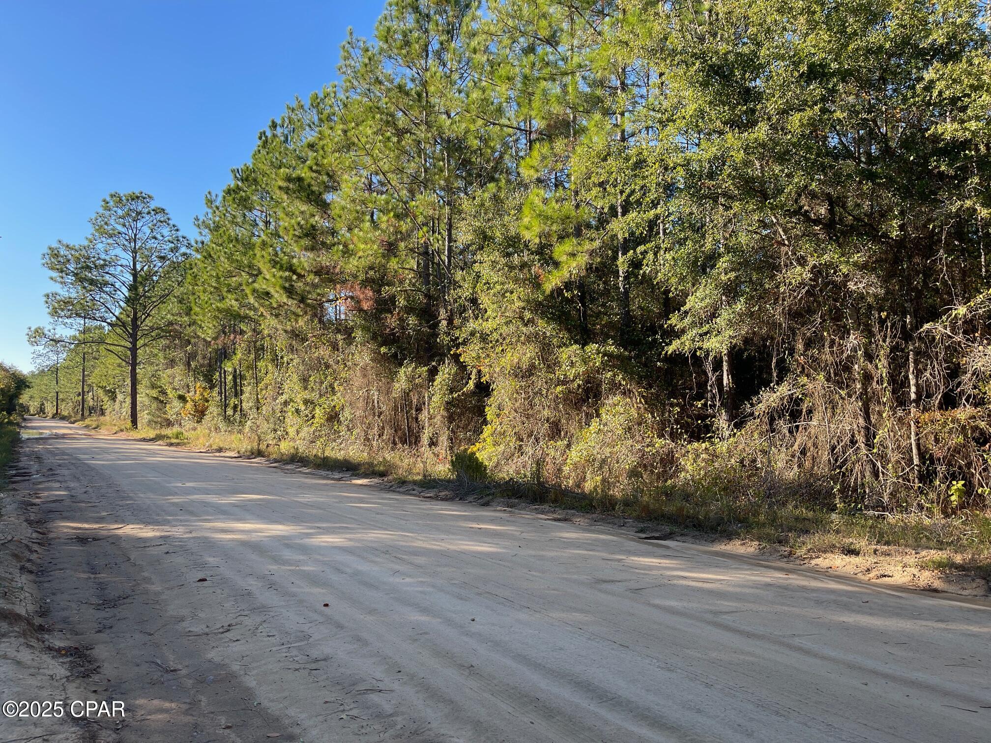 Blue Springs Plantation - Land