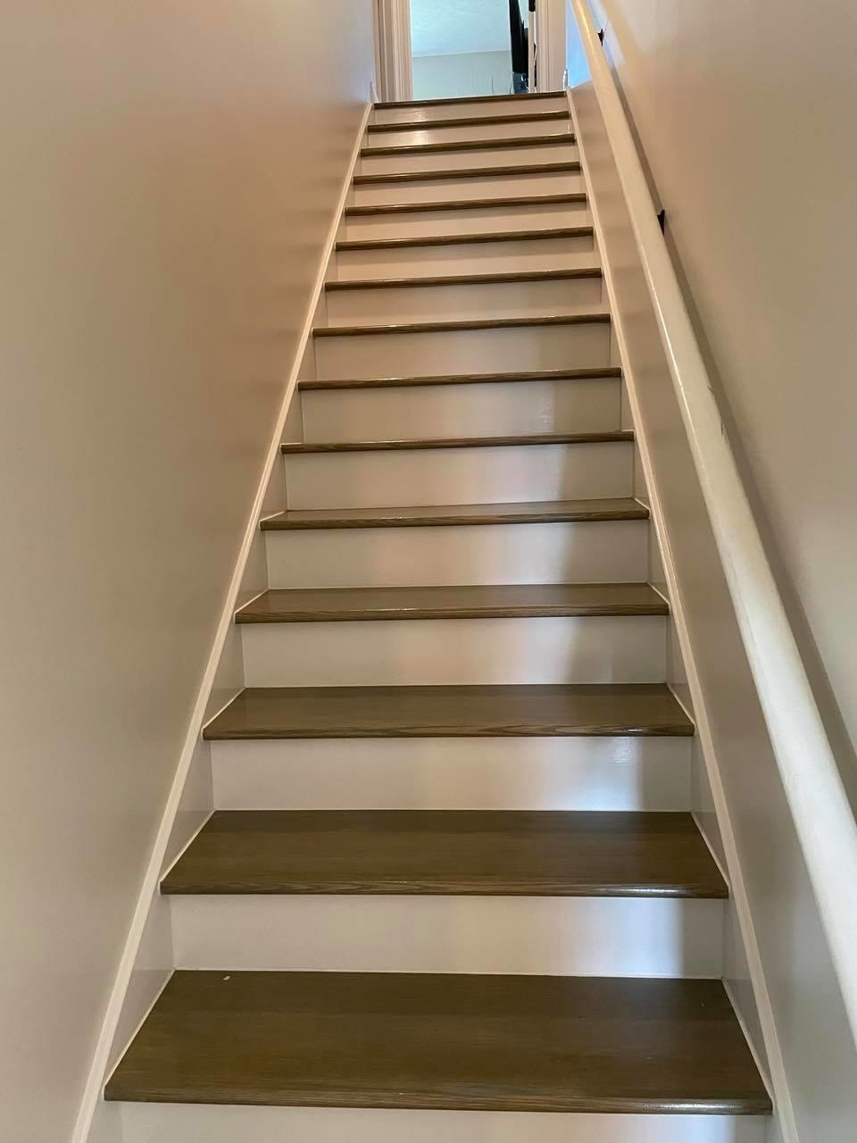 Palmetto Ridge - Residential Lease