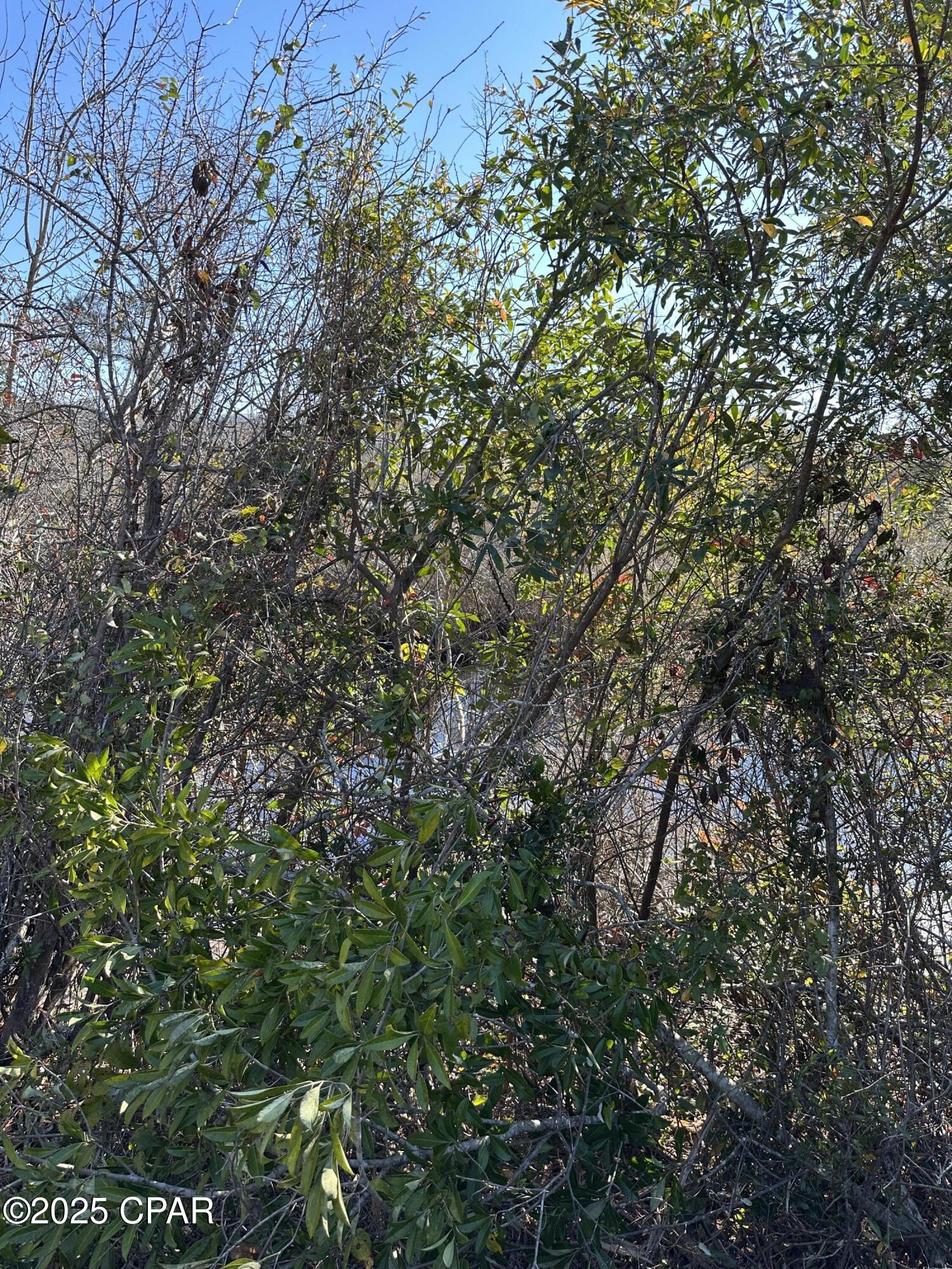 Indian Bluff - Land
