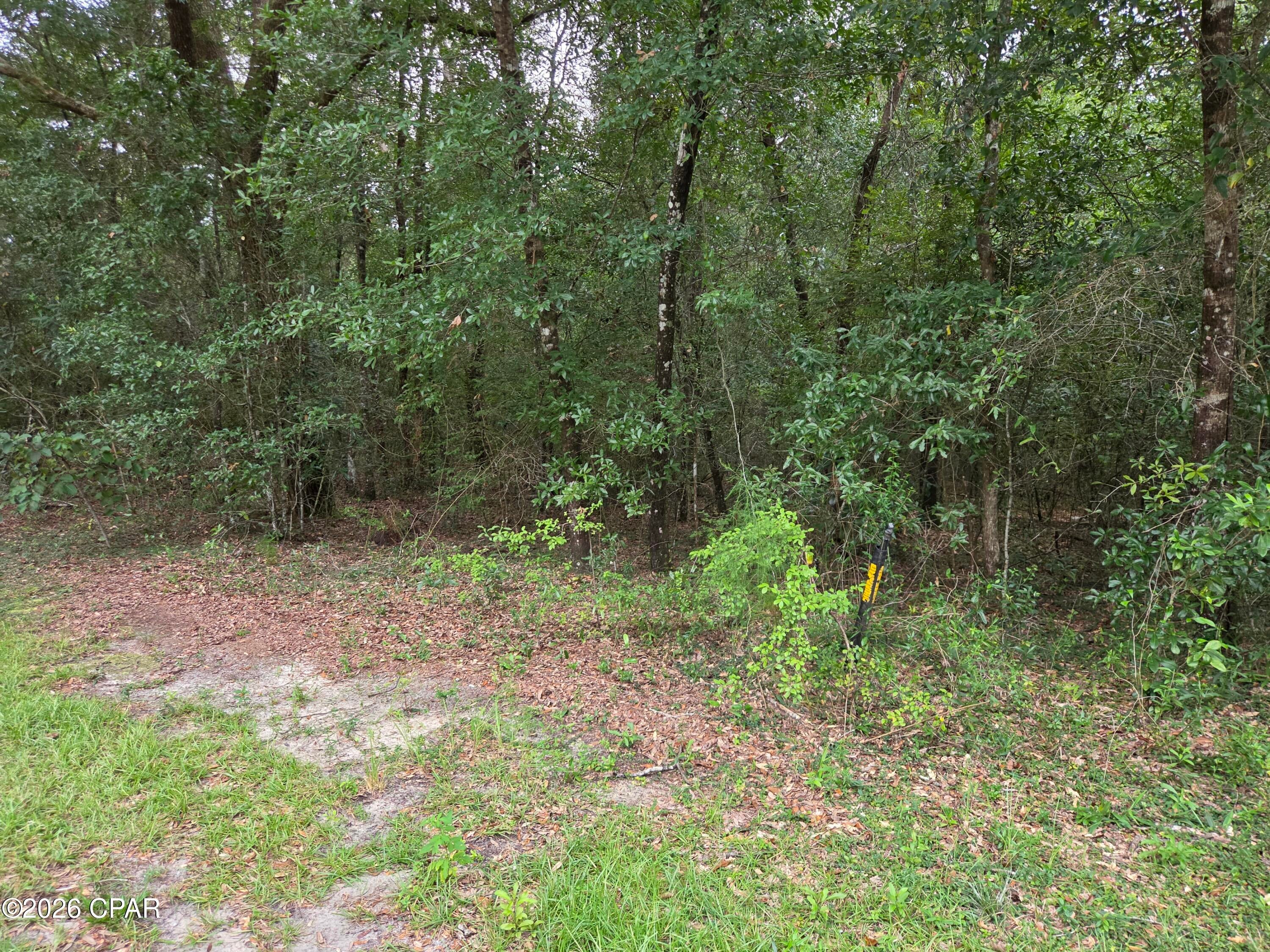 Leisure Lakes 1st Add - Land