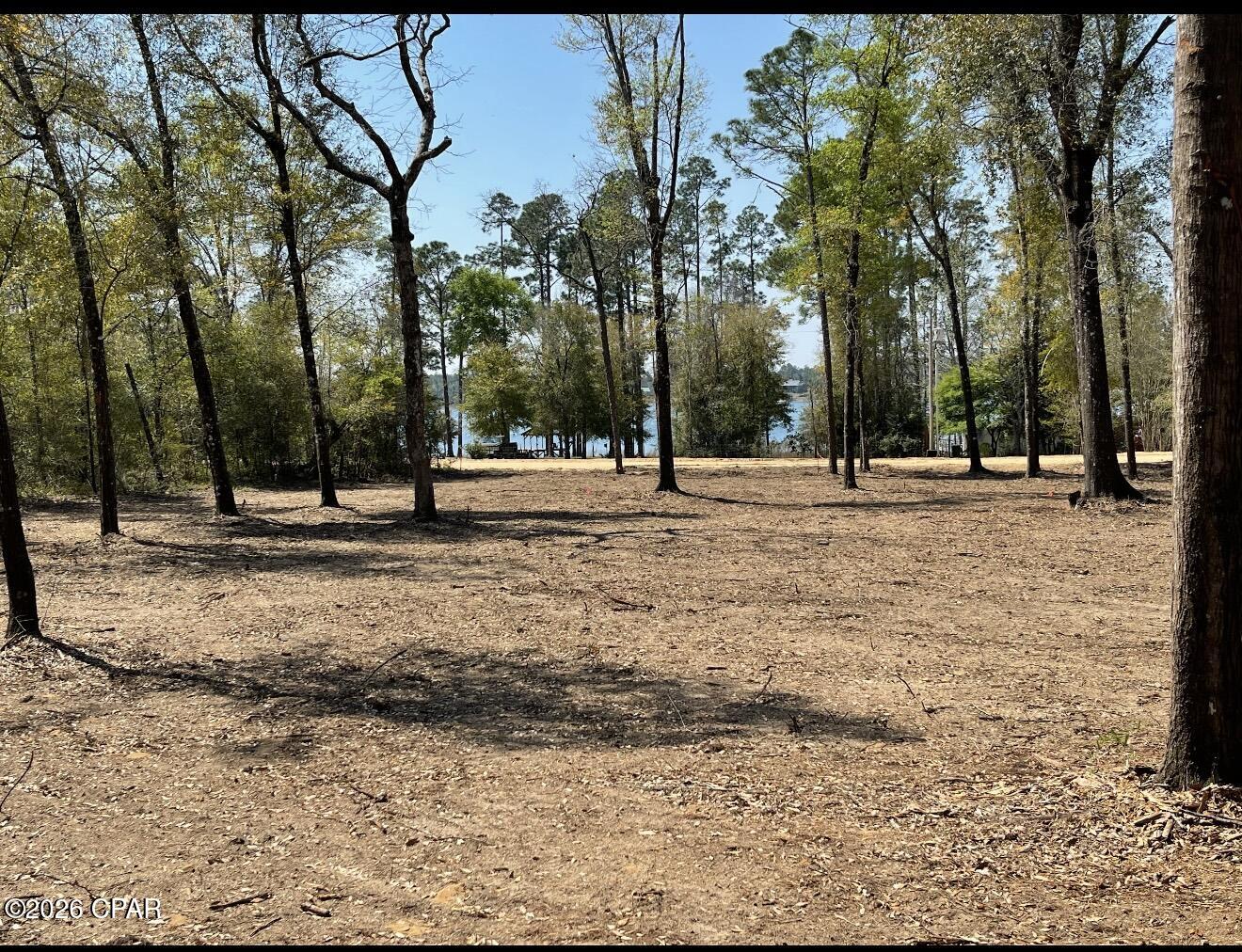 Silver Lake - Land