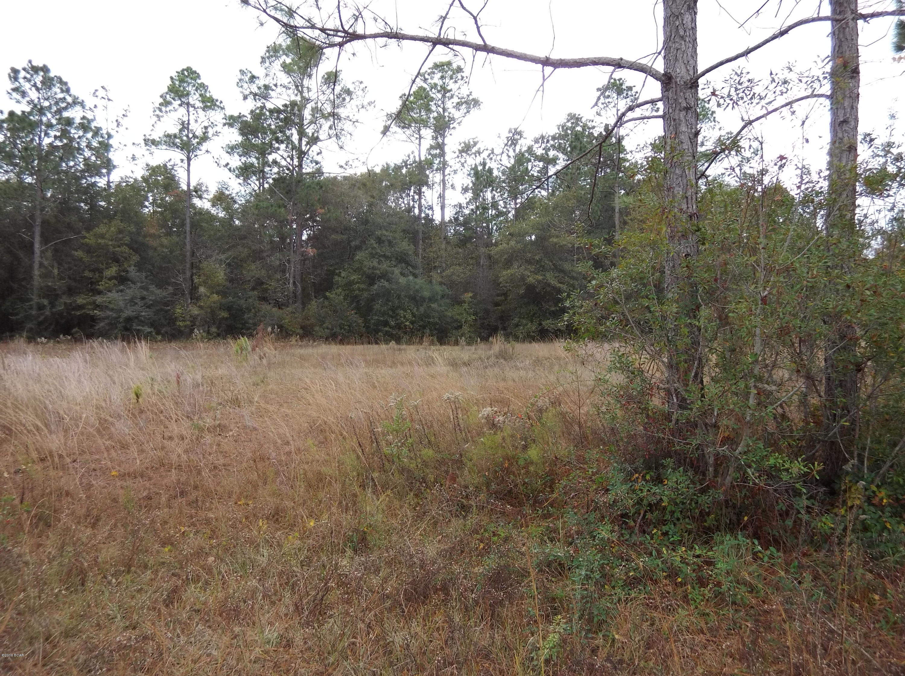 Timber Lake Homes - Land