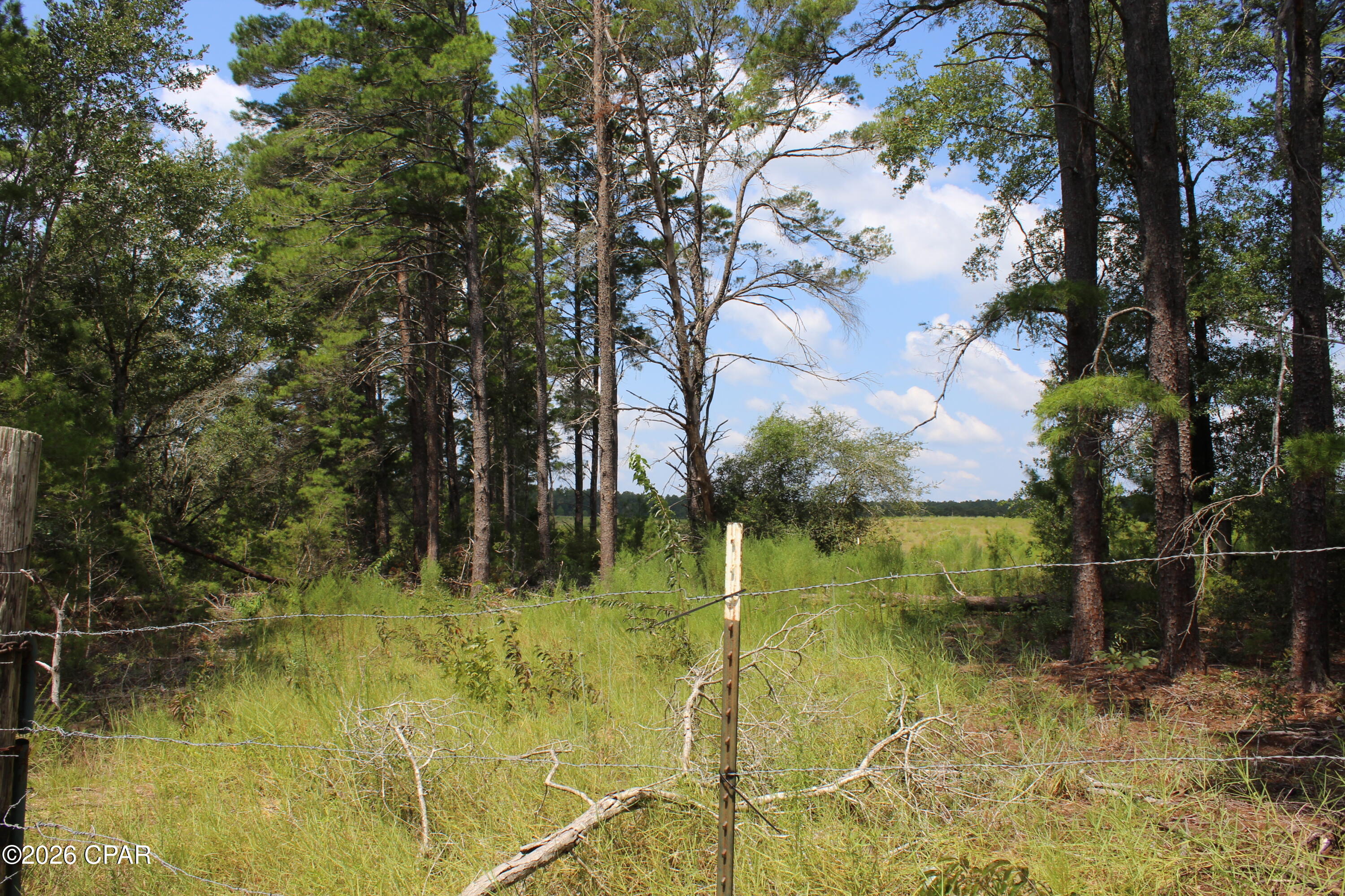 West Orange Crest - Land