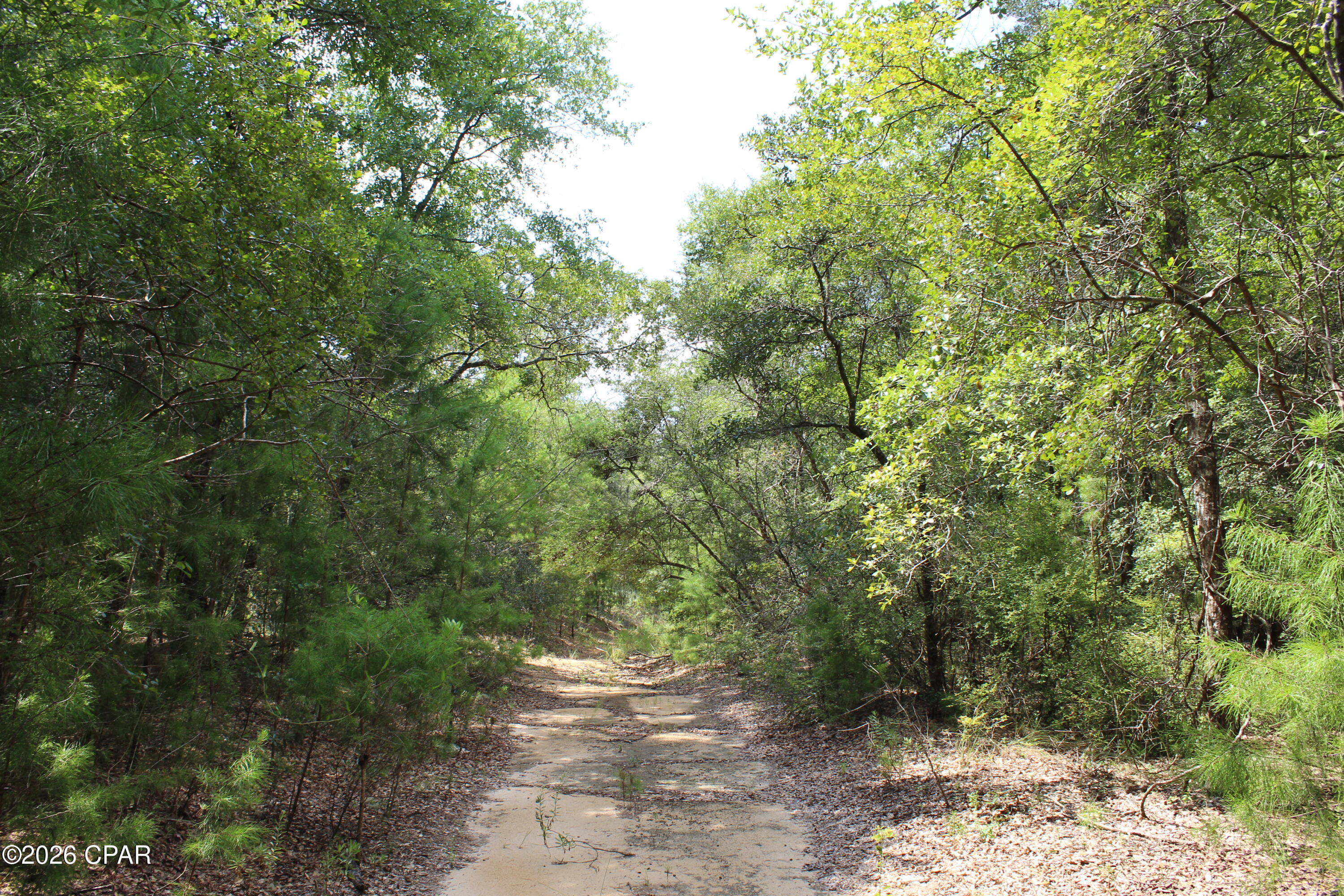 West Orange Crest - Land
