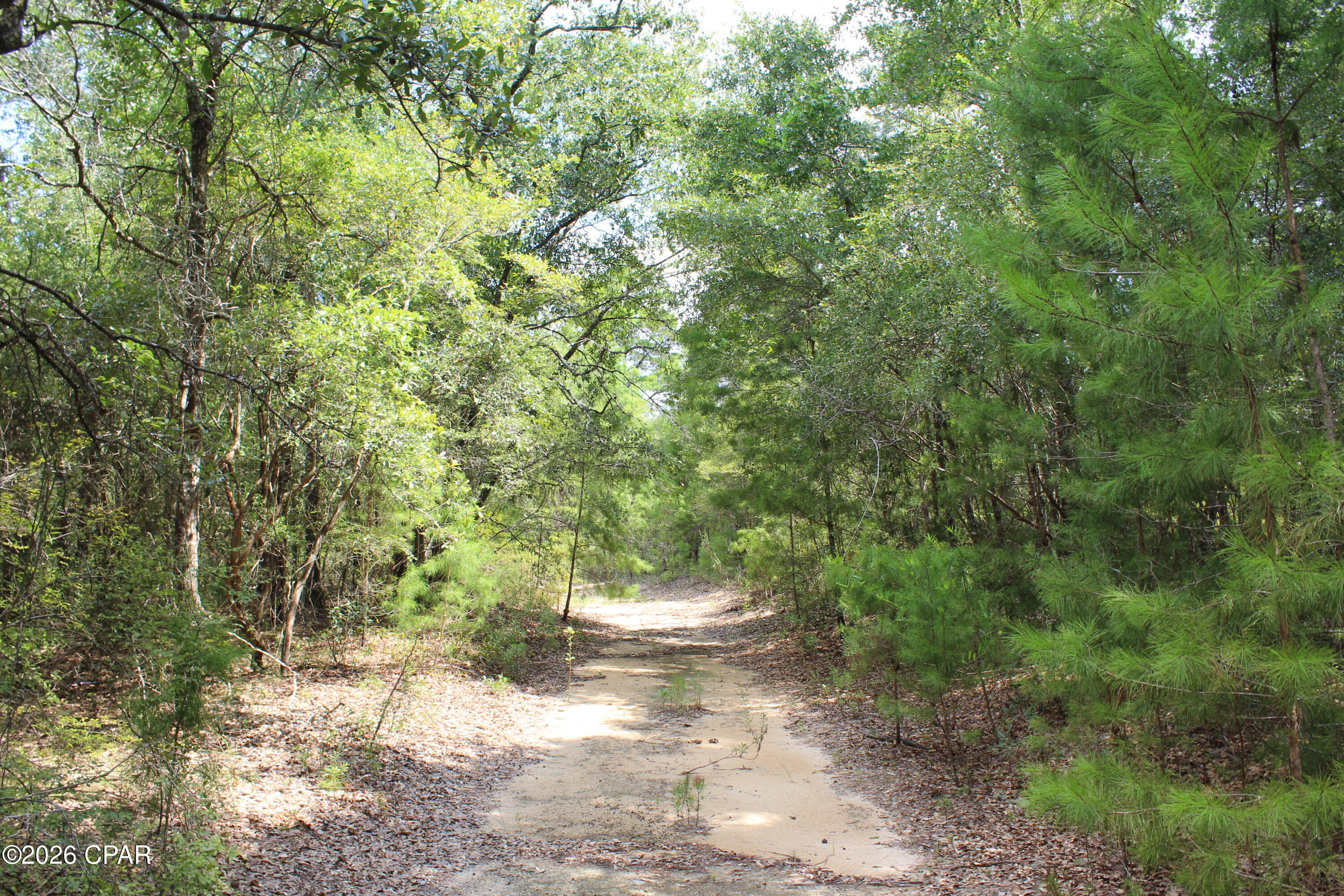 West Orange Crest - Land