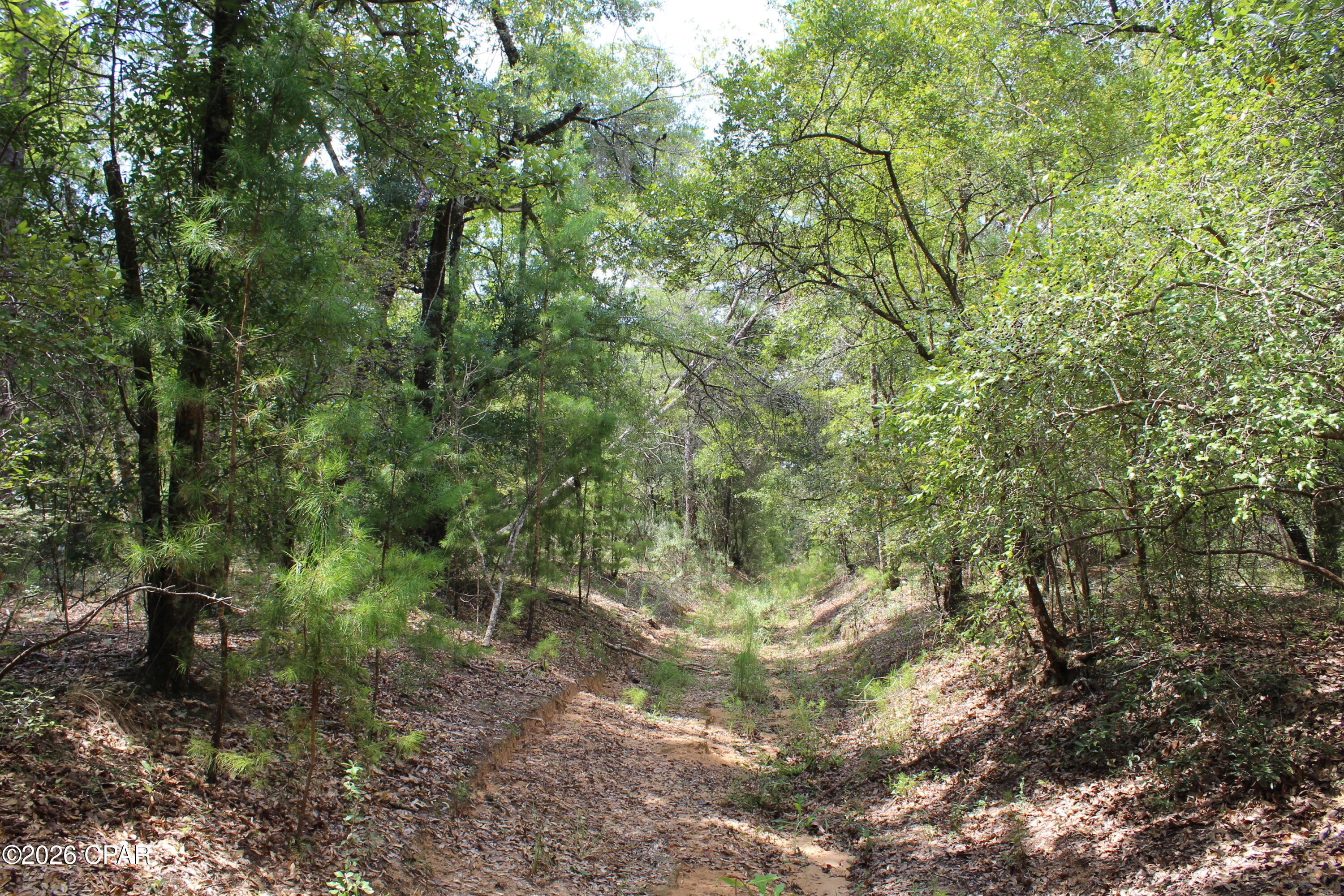 West Orange Crest - Land